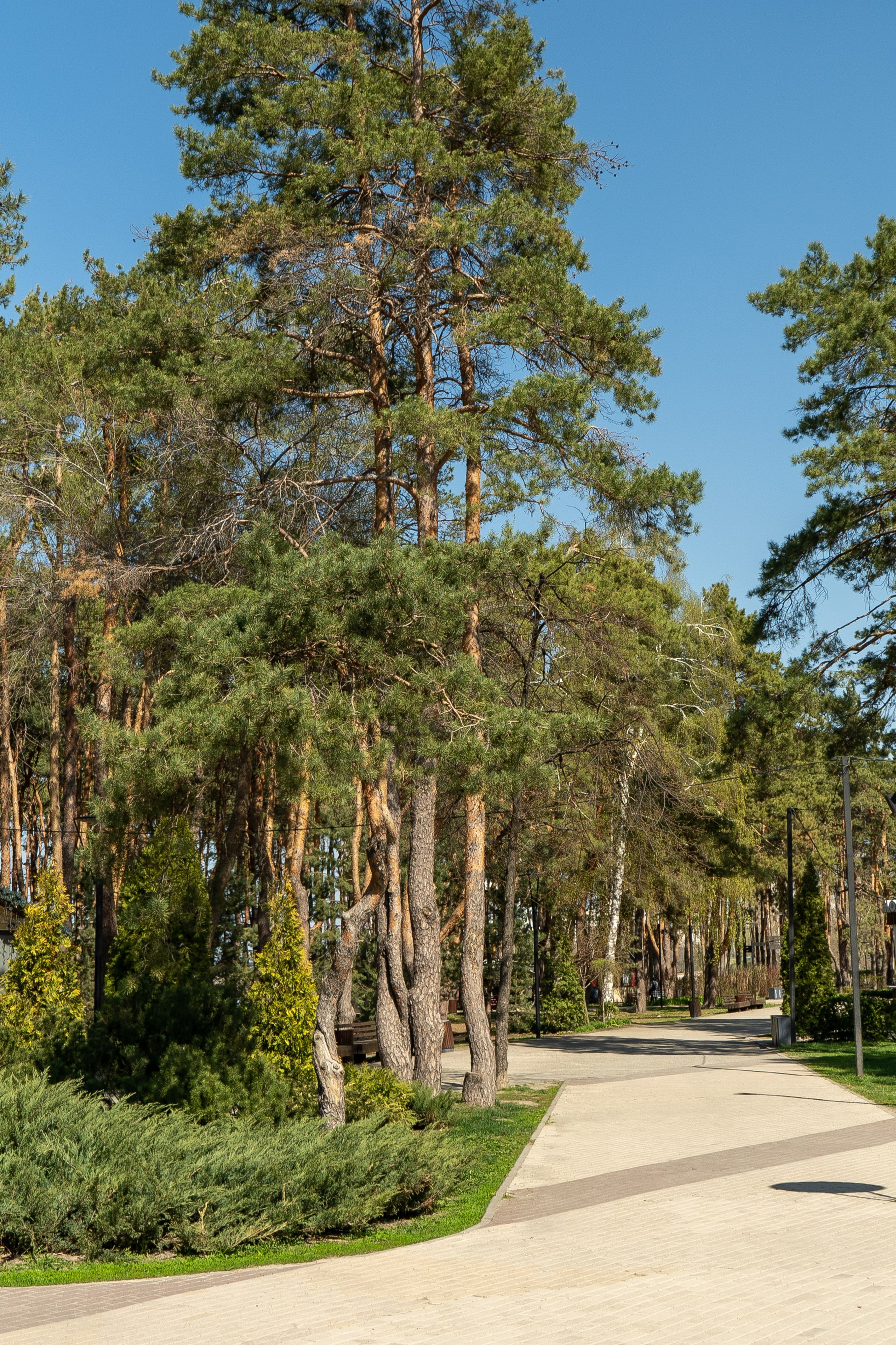 Блог фотографа Воронежа. Свадебный фотограф и видеограф в Воронеже