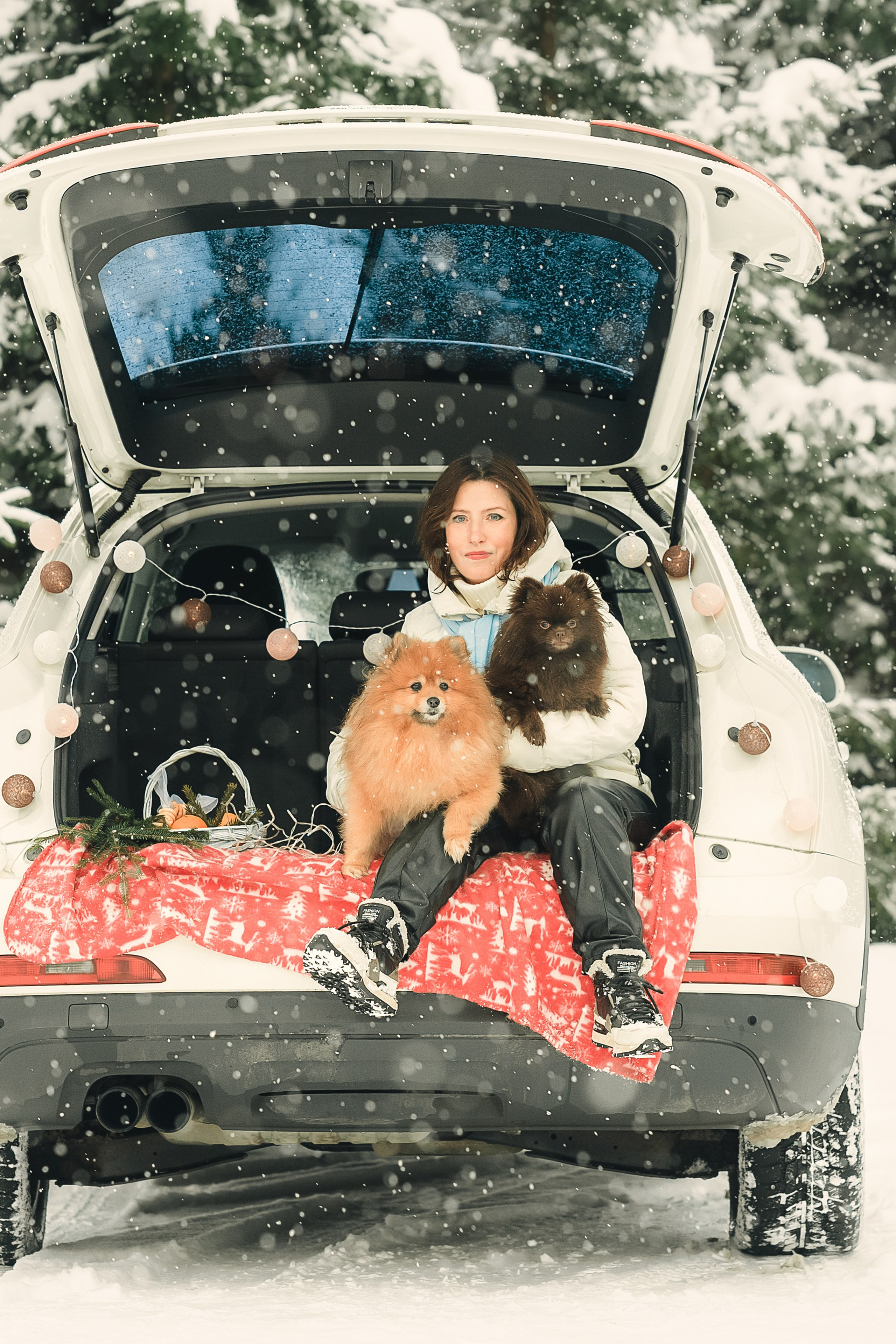 Ховаварт Тайгер с хозяйкой Анной