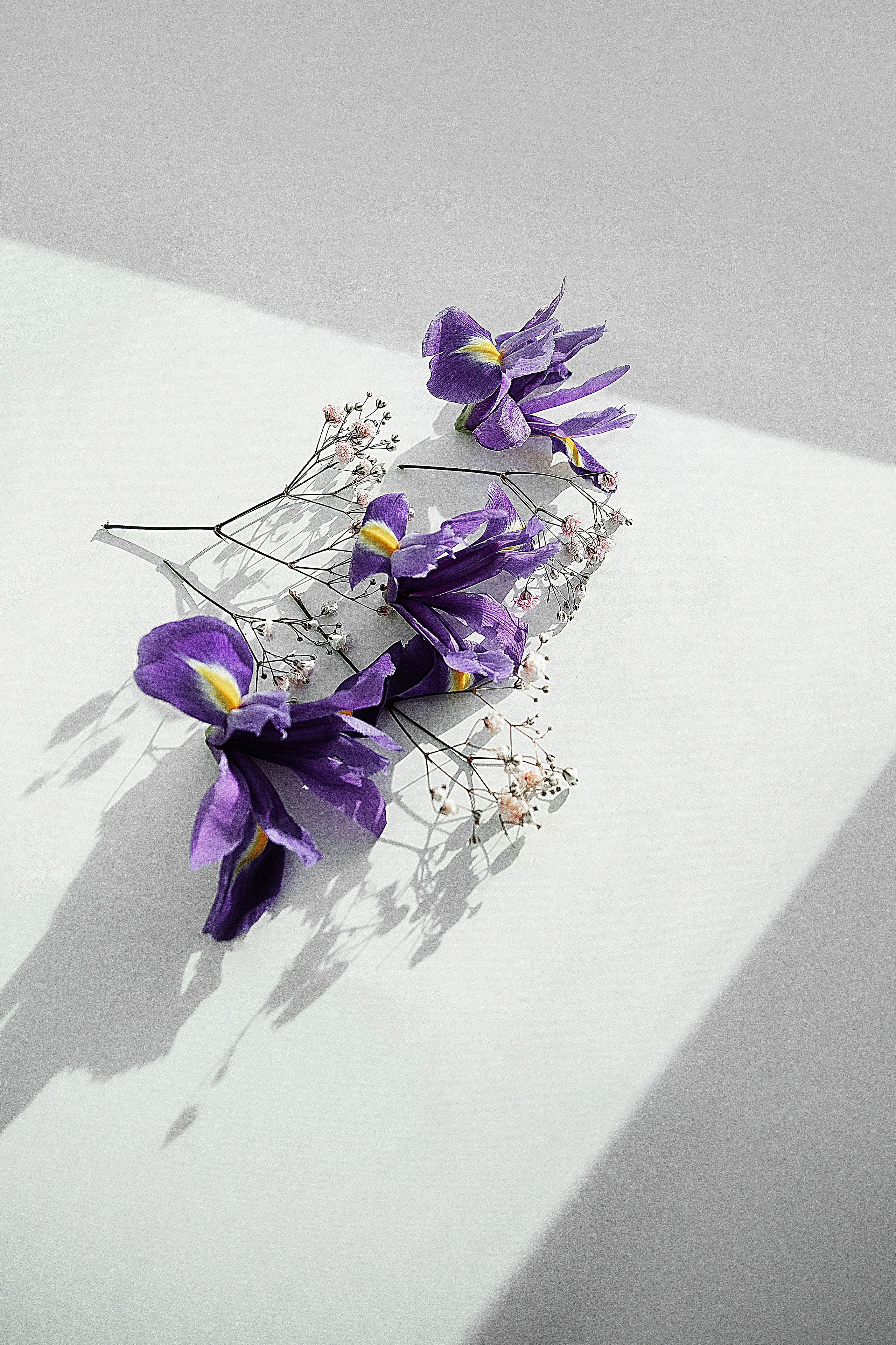 Контент фотосессия. ВИЗУАЛЬНЫЙ КОНТЕНТ ДЛЯ ЭКСПЕРТОВ И БРЕНДОВ