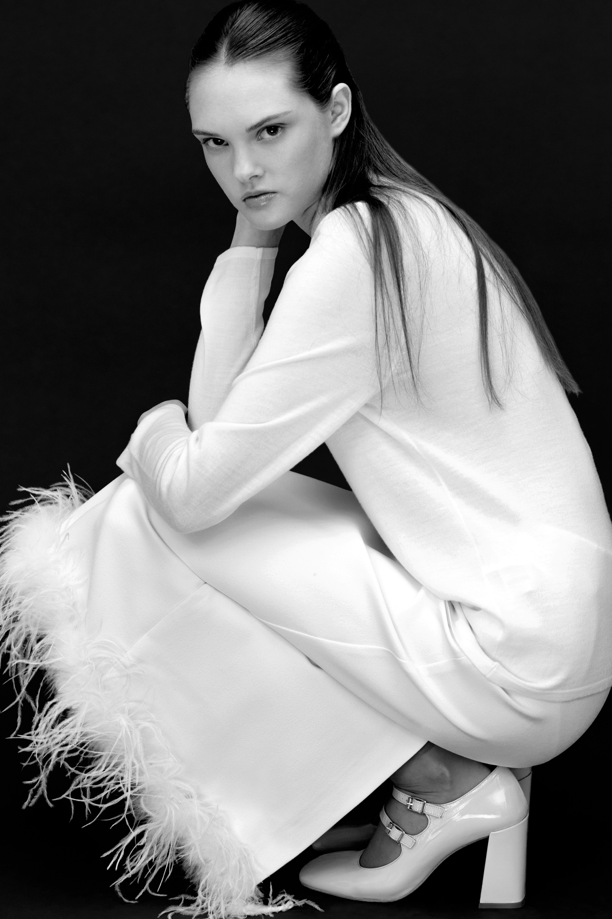 MONOCHROME PLUMAGE & SILHOUETTE DESIGN