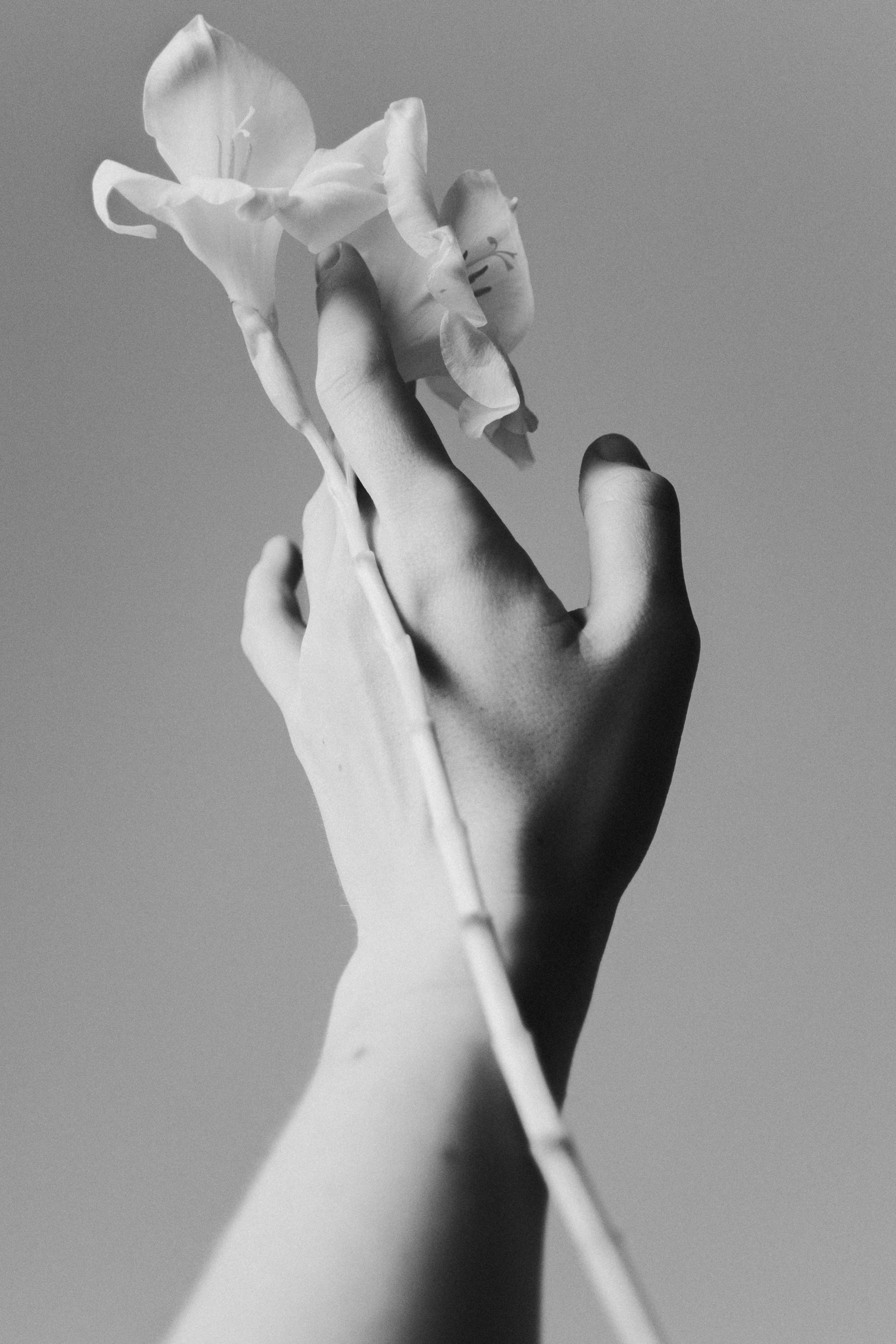 Anna Shardakova Photography