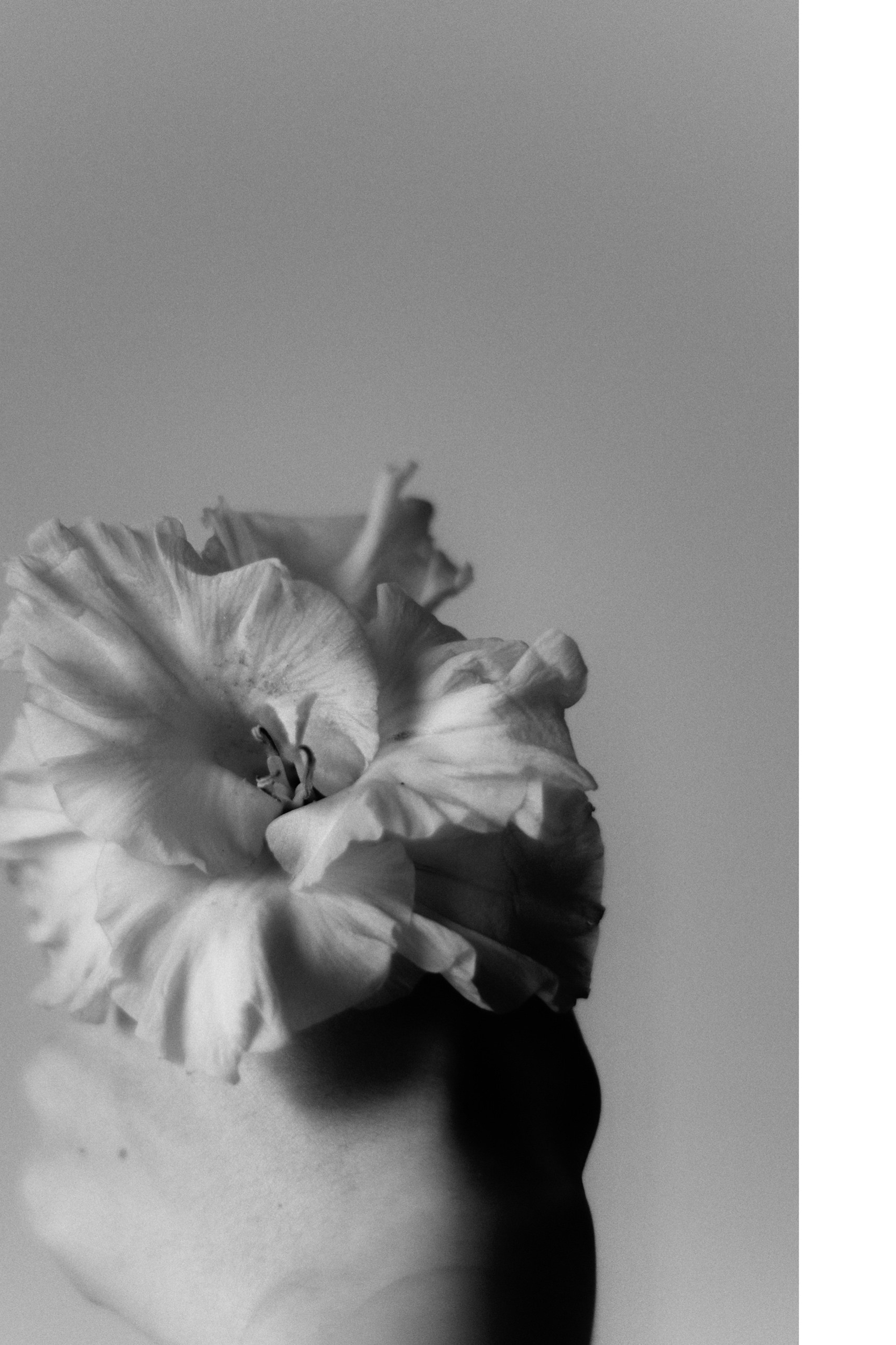 Anna Shardakova Photography