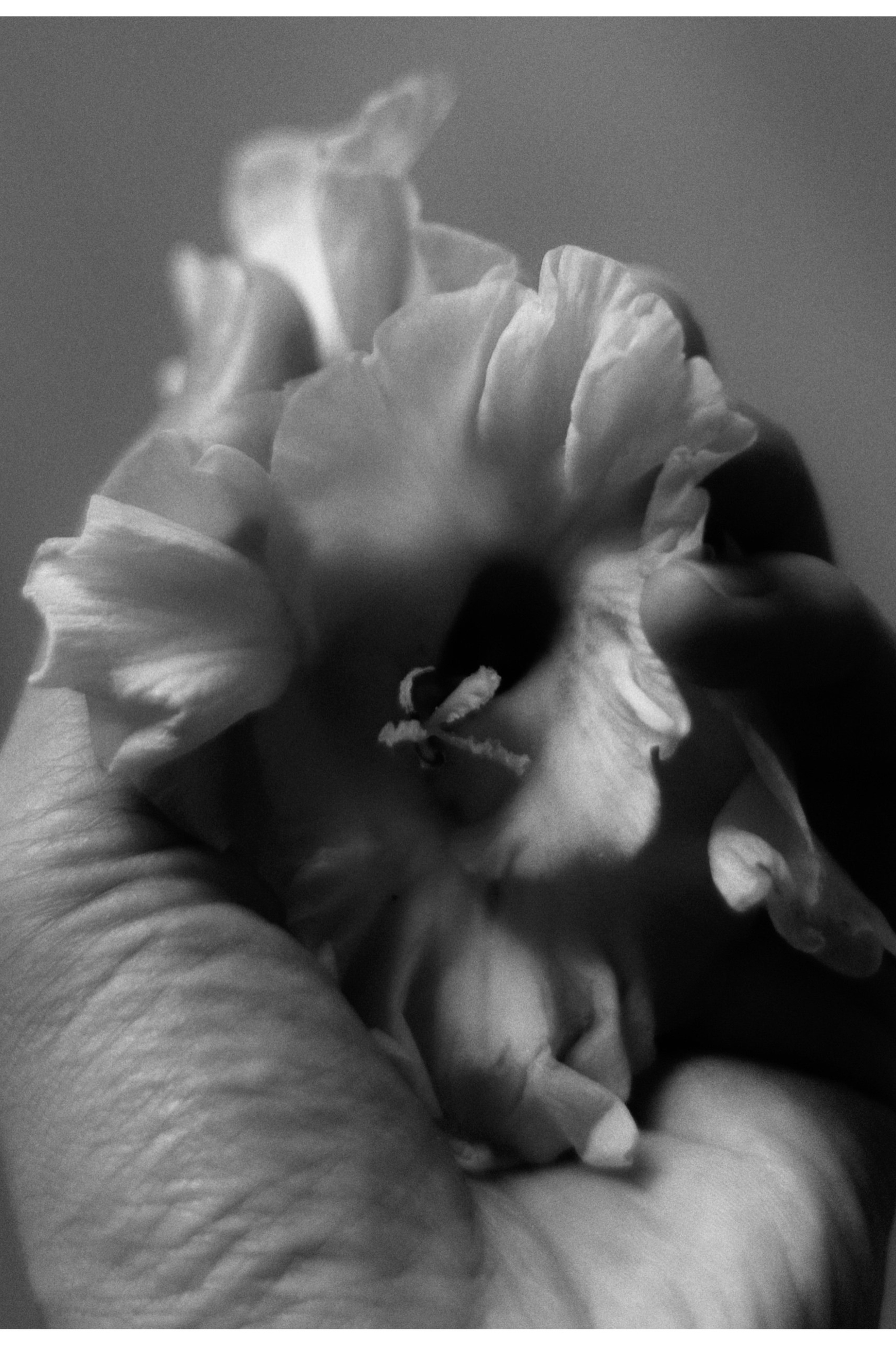 Anna Shardakova Photography