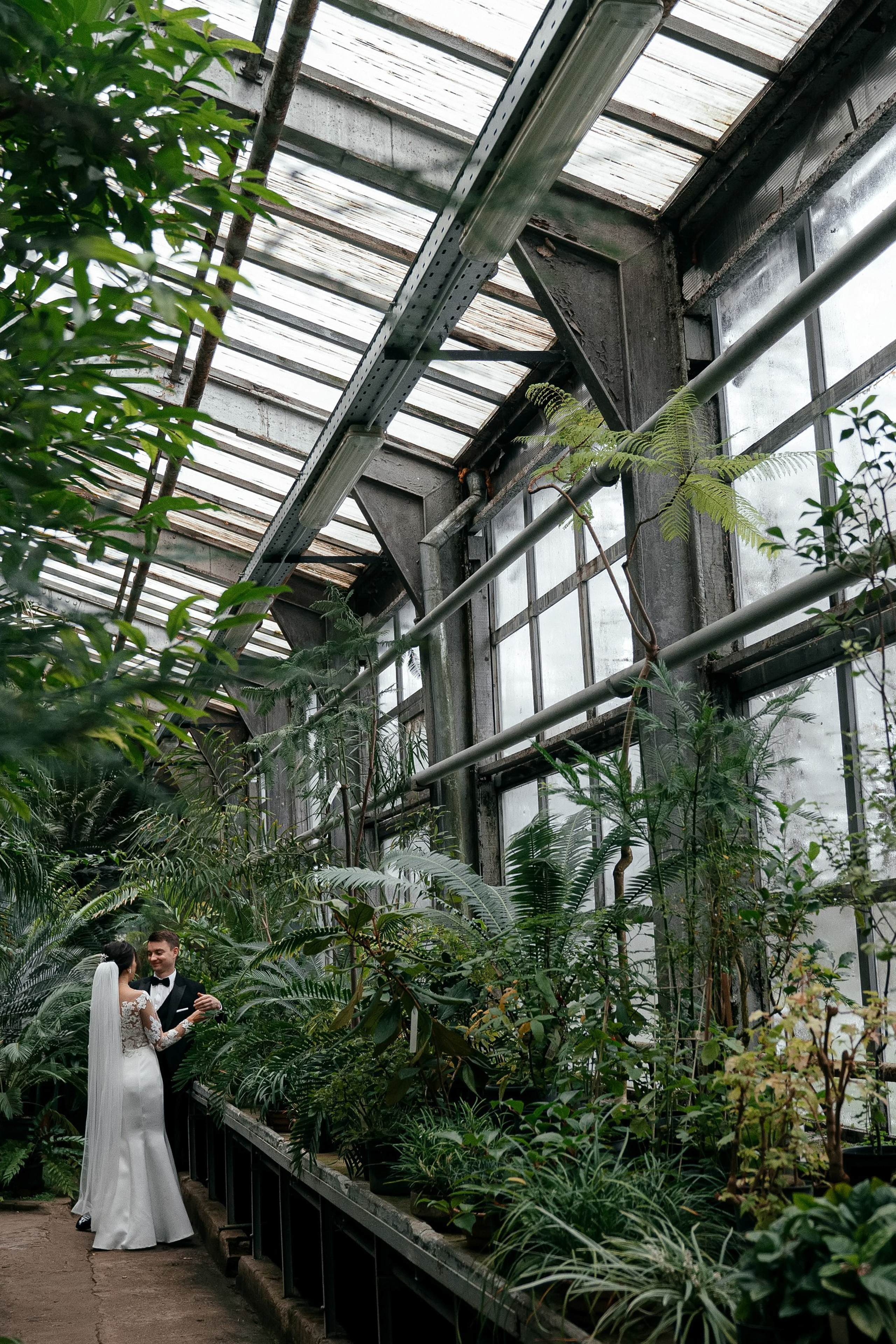 Старая Фондовая оранжерея и КСК «Звёздный»