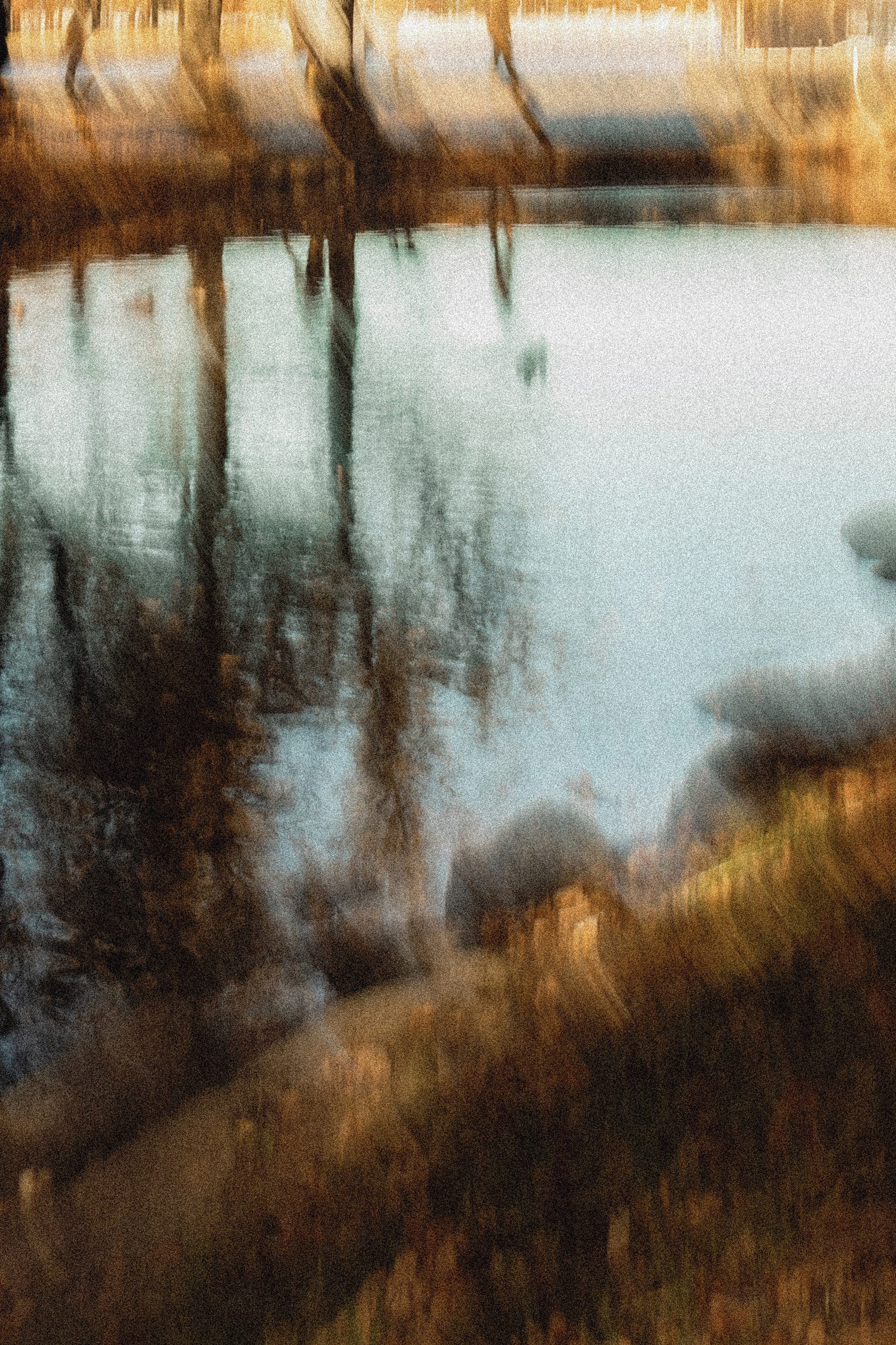 Истории. Виноградова Маргарита. Фотограф P r o Явления