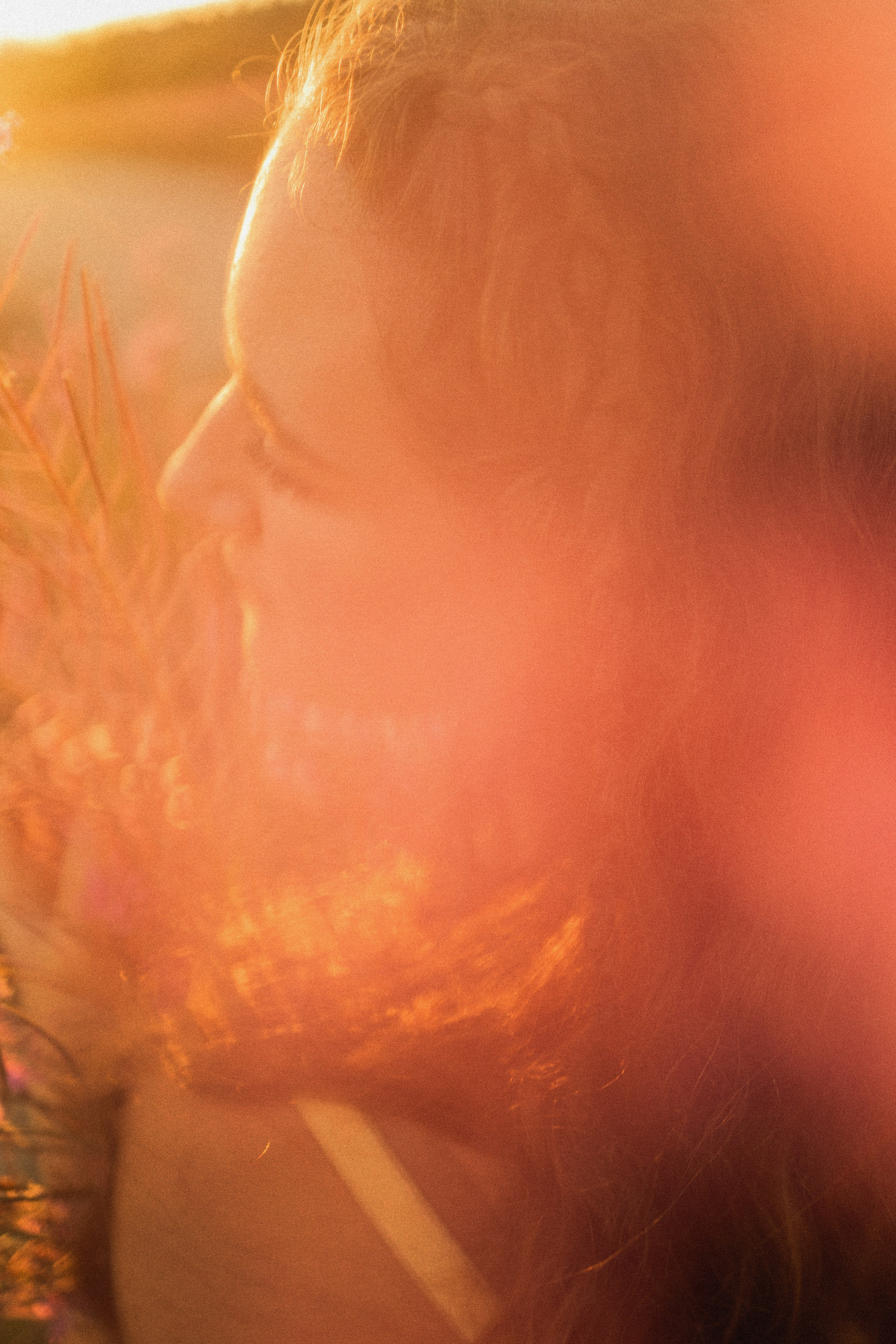 Истории. Виноградова Маргарита. Фотограф P r o Явления