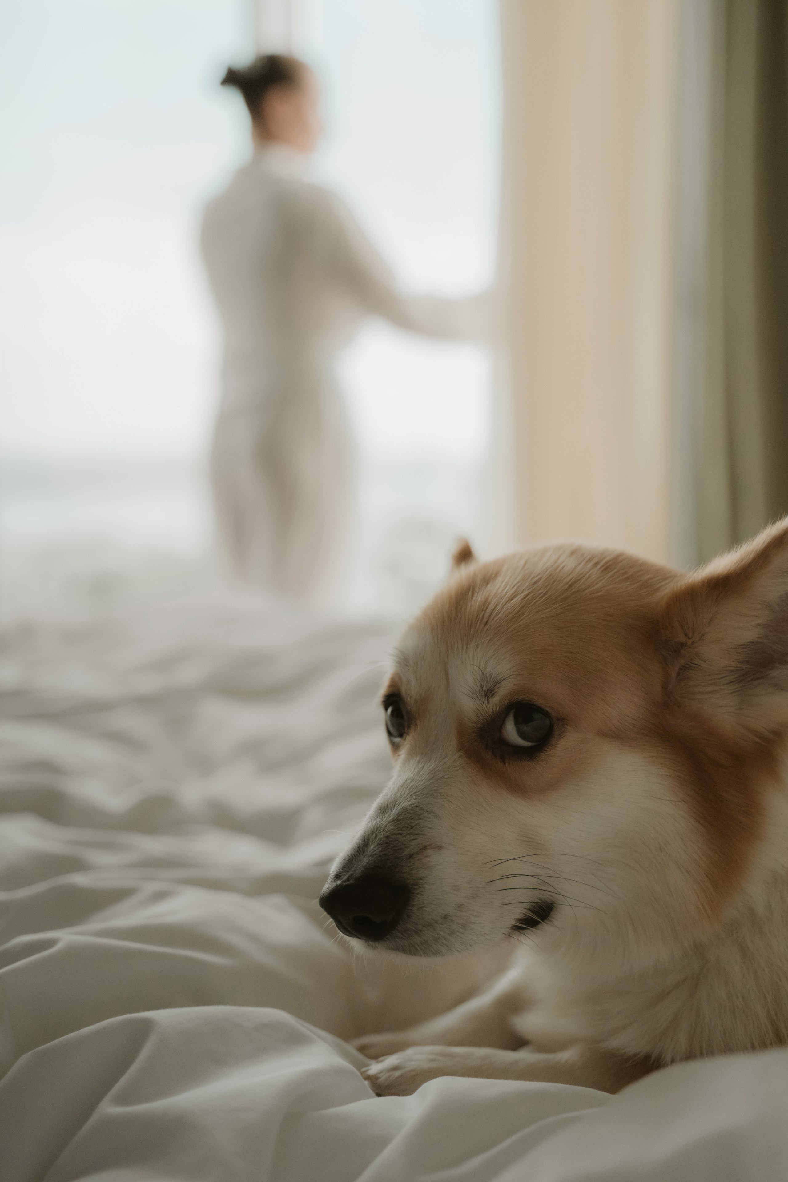 Утро невесты