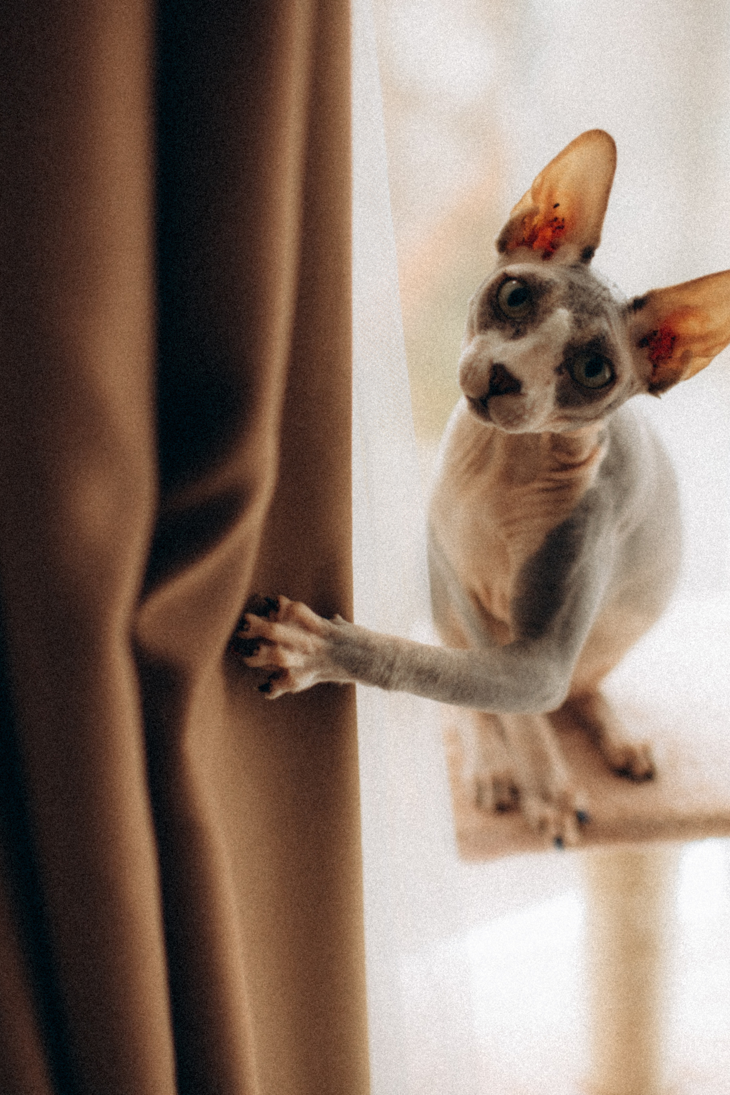 Антон и Тася. Фотограф в Ярославле Юлия Калыгина