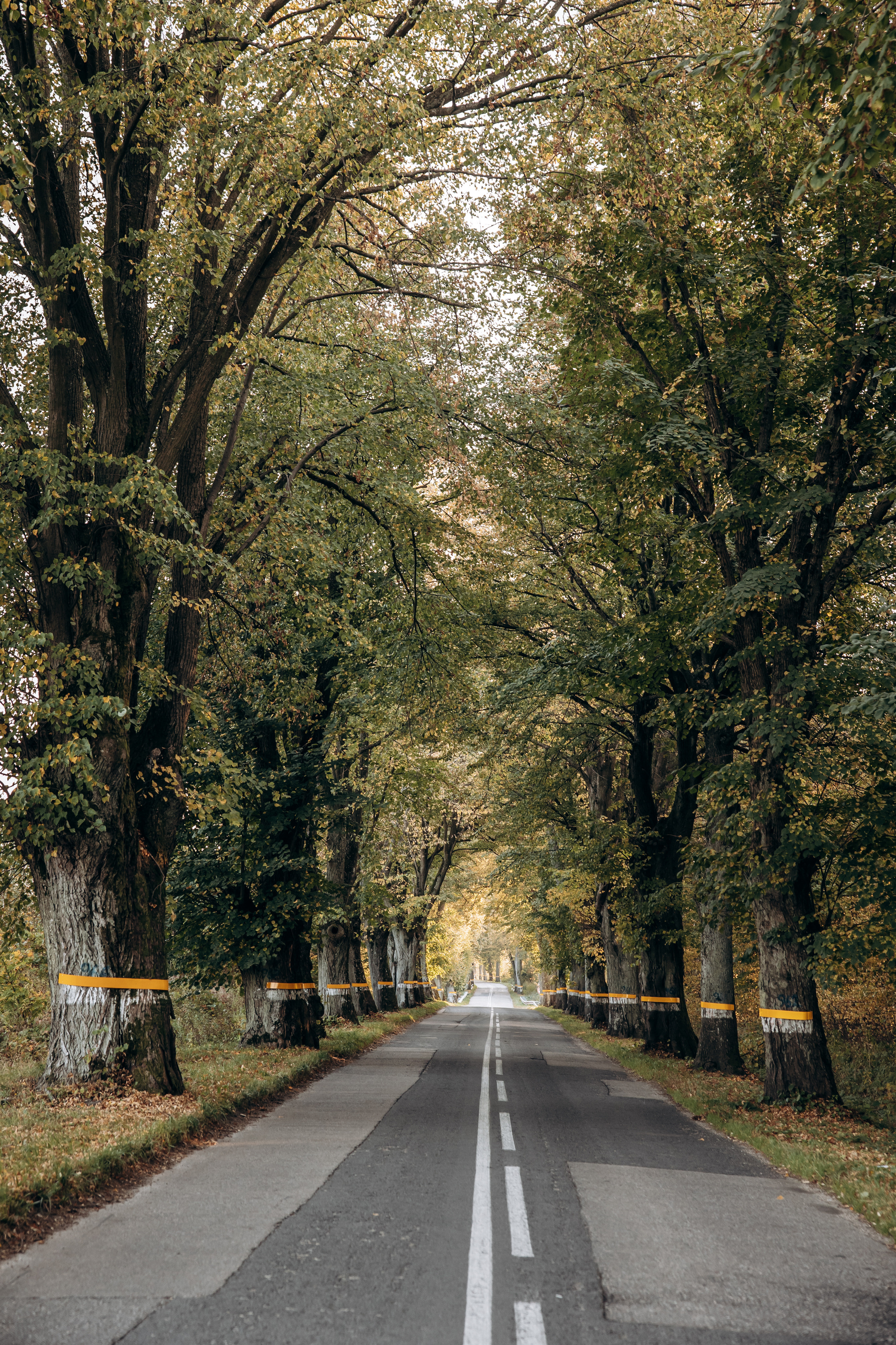 Калининград