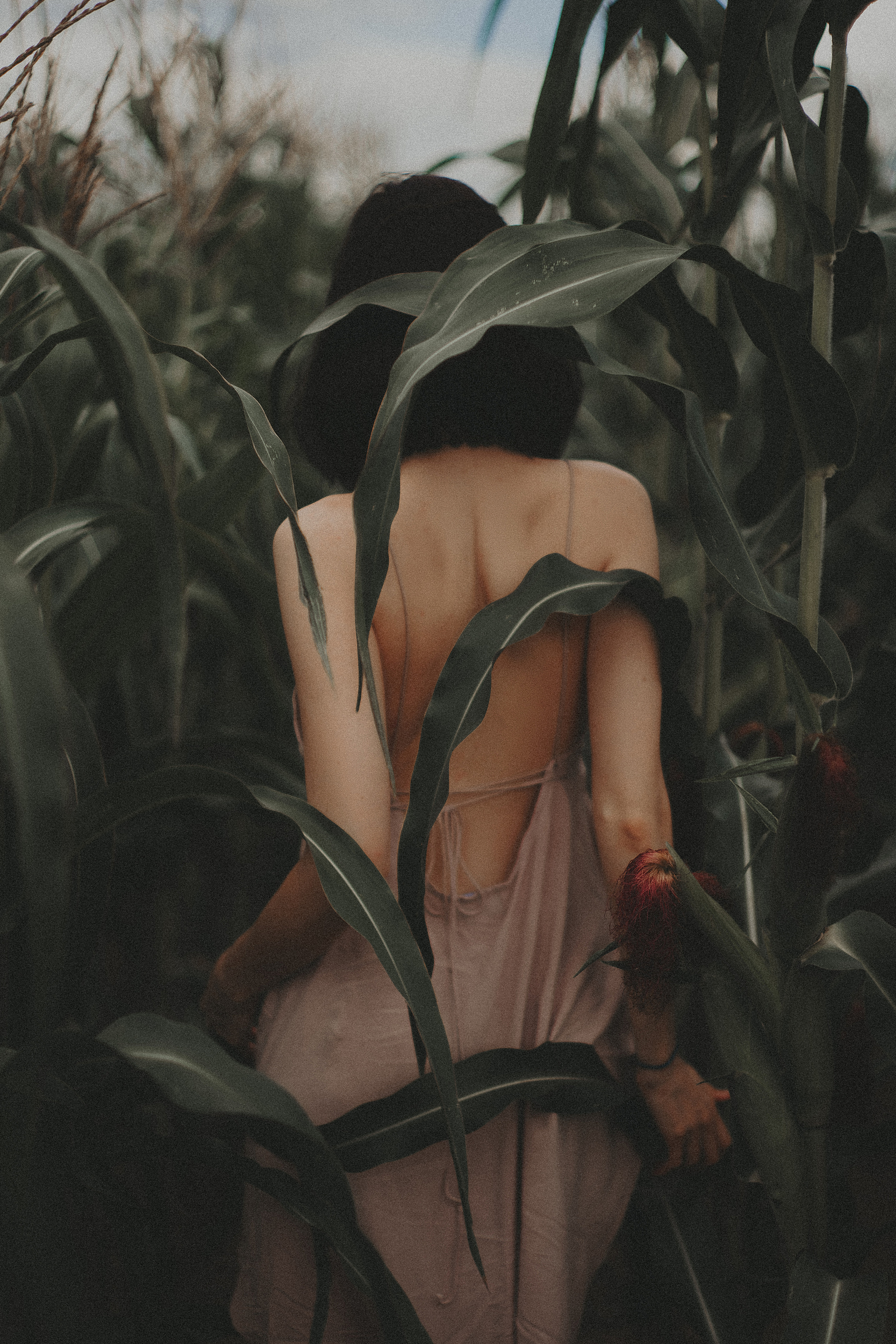 фотсессия в Московской области в поле