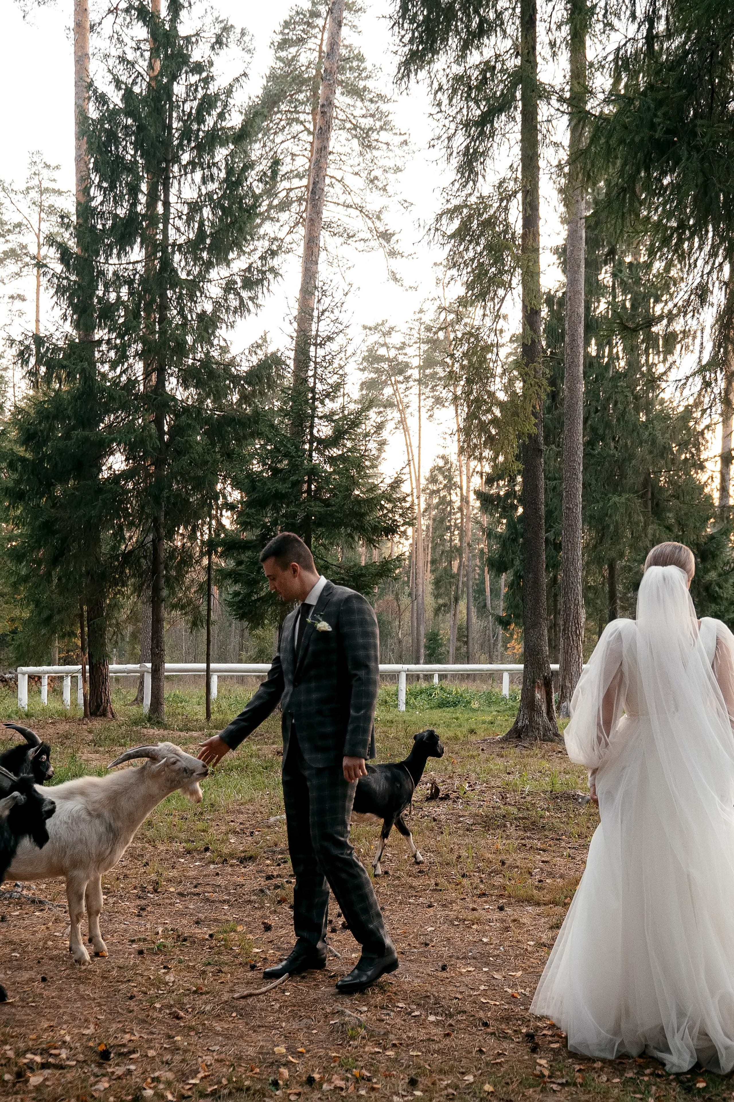 Нет ничего лучше закатного солнца. Загородный клуб «Барин»