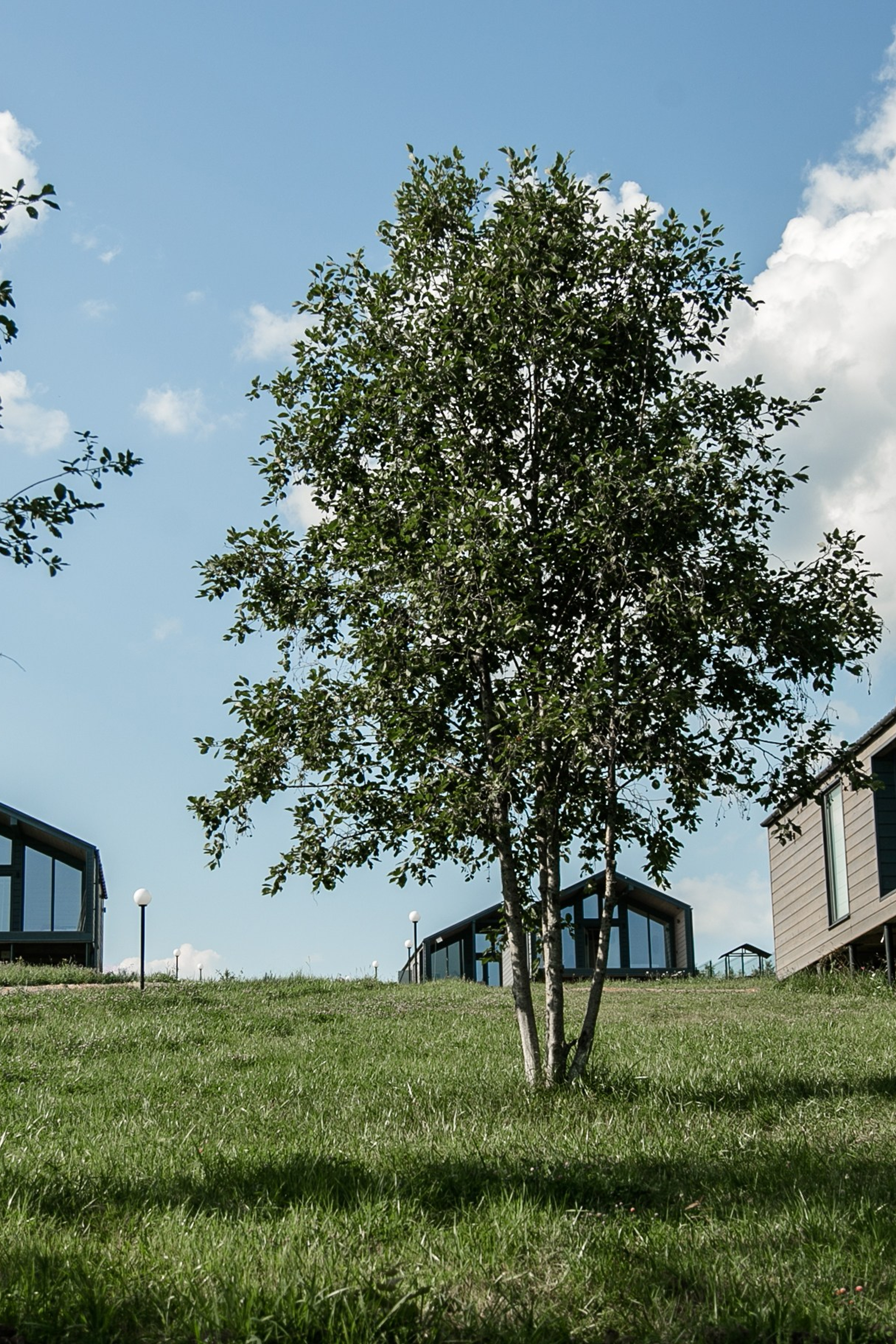 Эко-отель «Северный Берег»