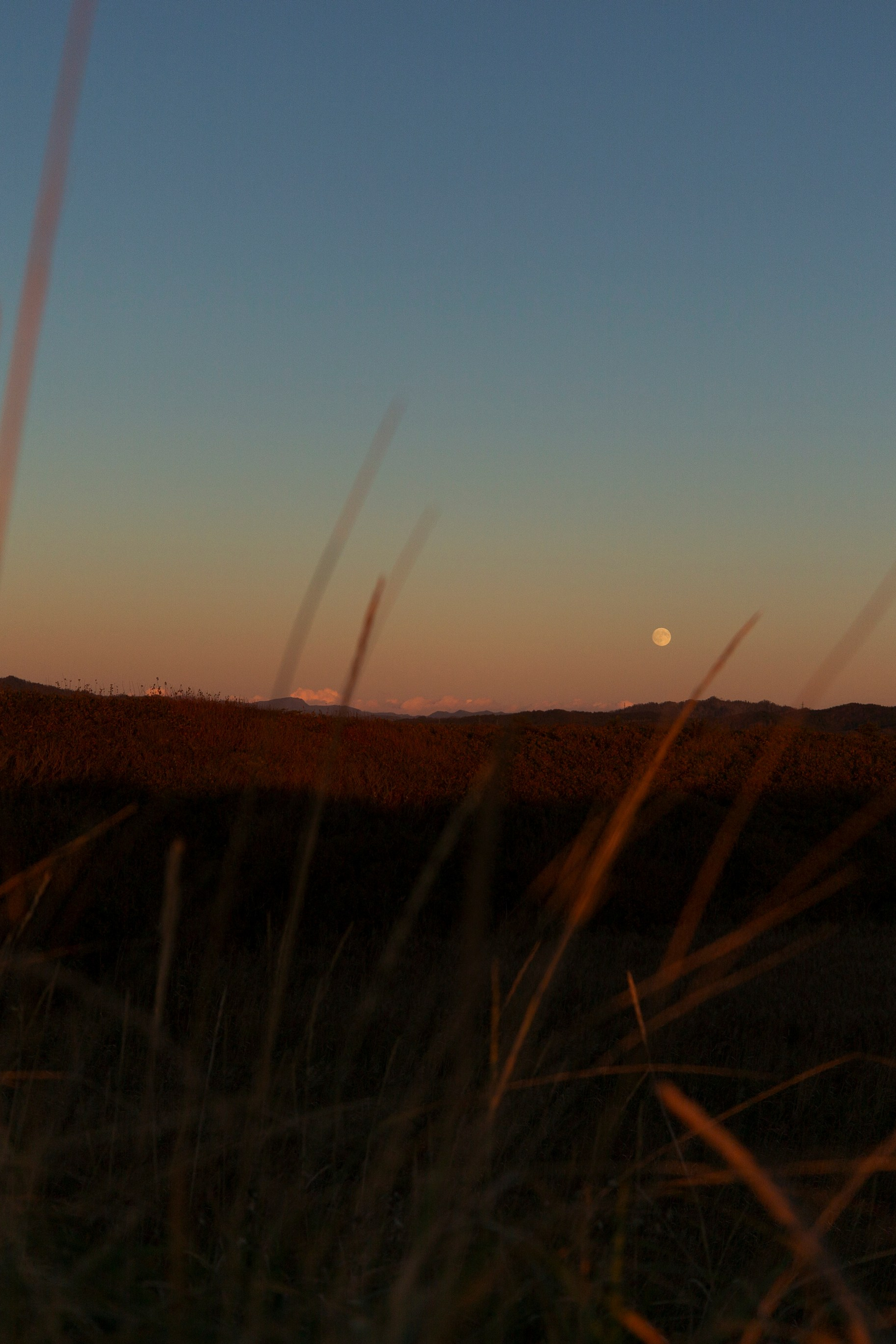 Блог. Фотограф Даша Омельченко