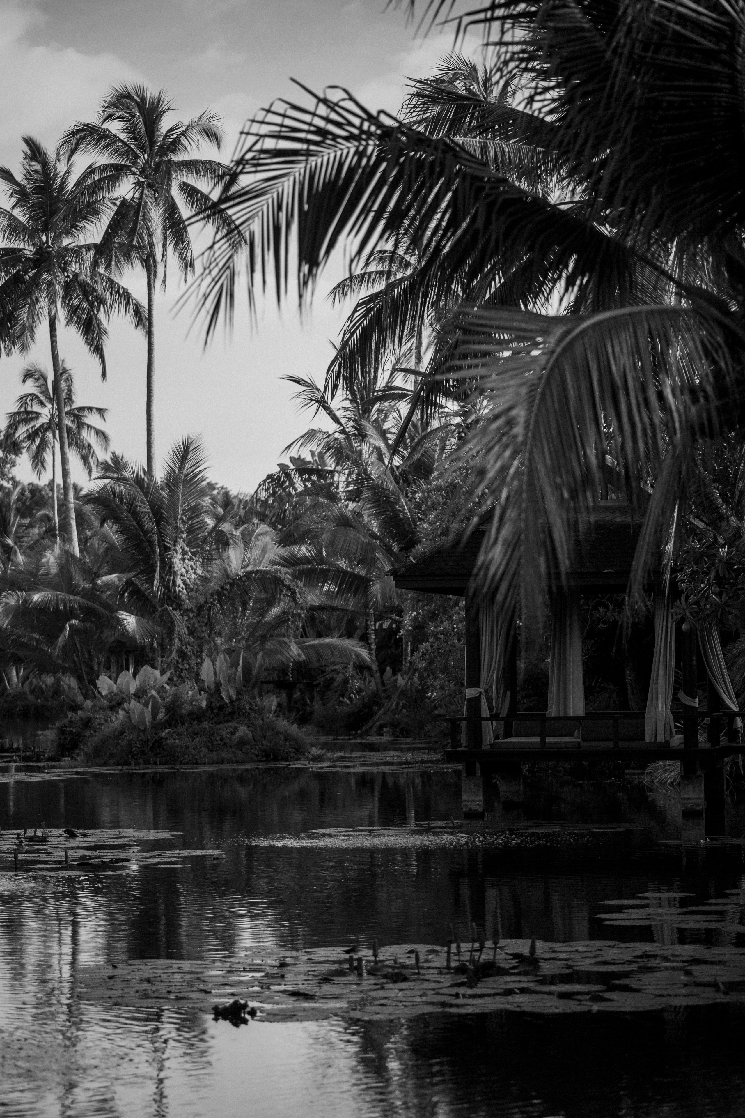 Блог. Фотограф Даша Омельченко