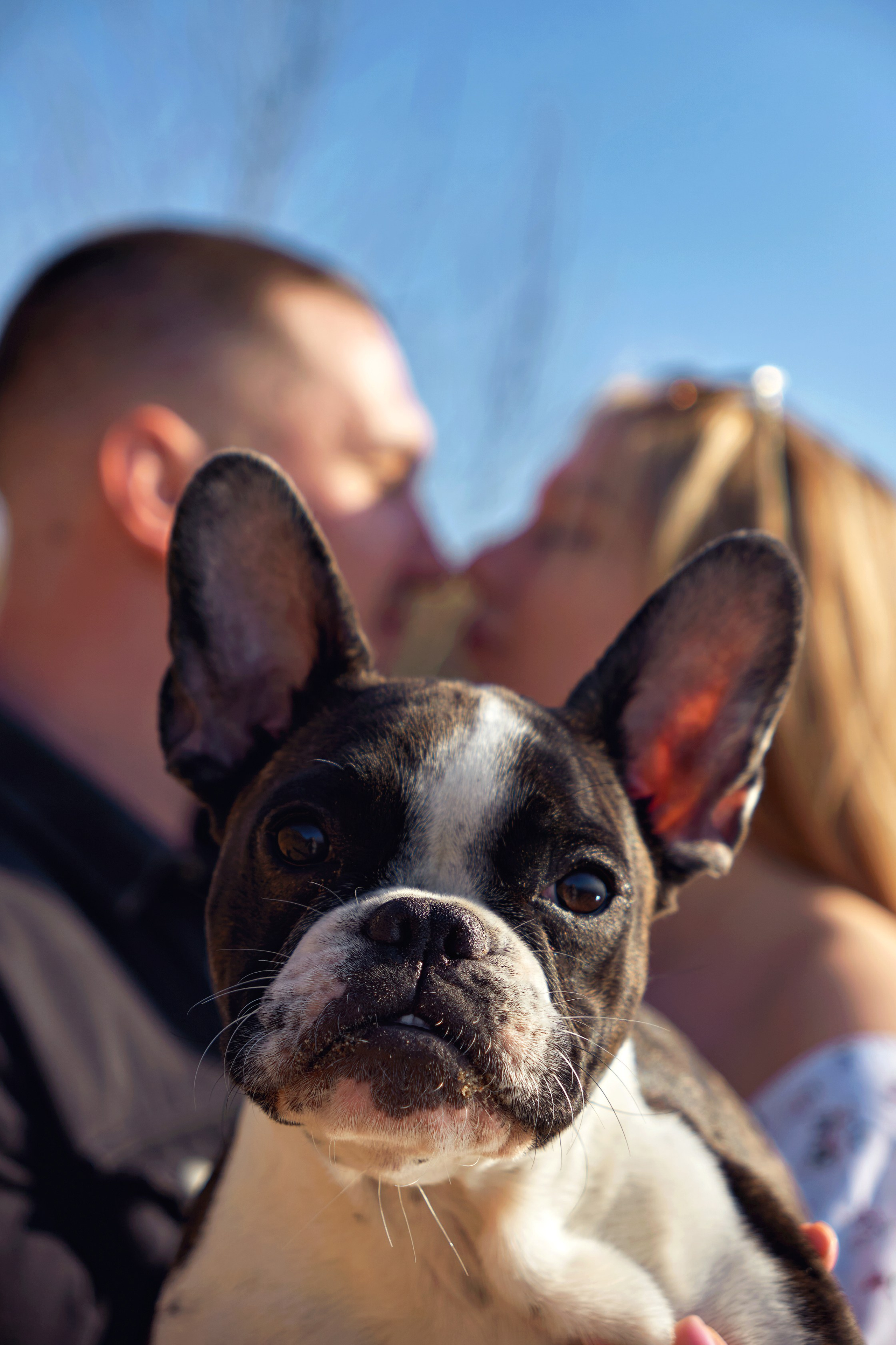 Никита & Дарья