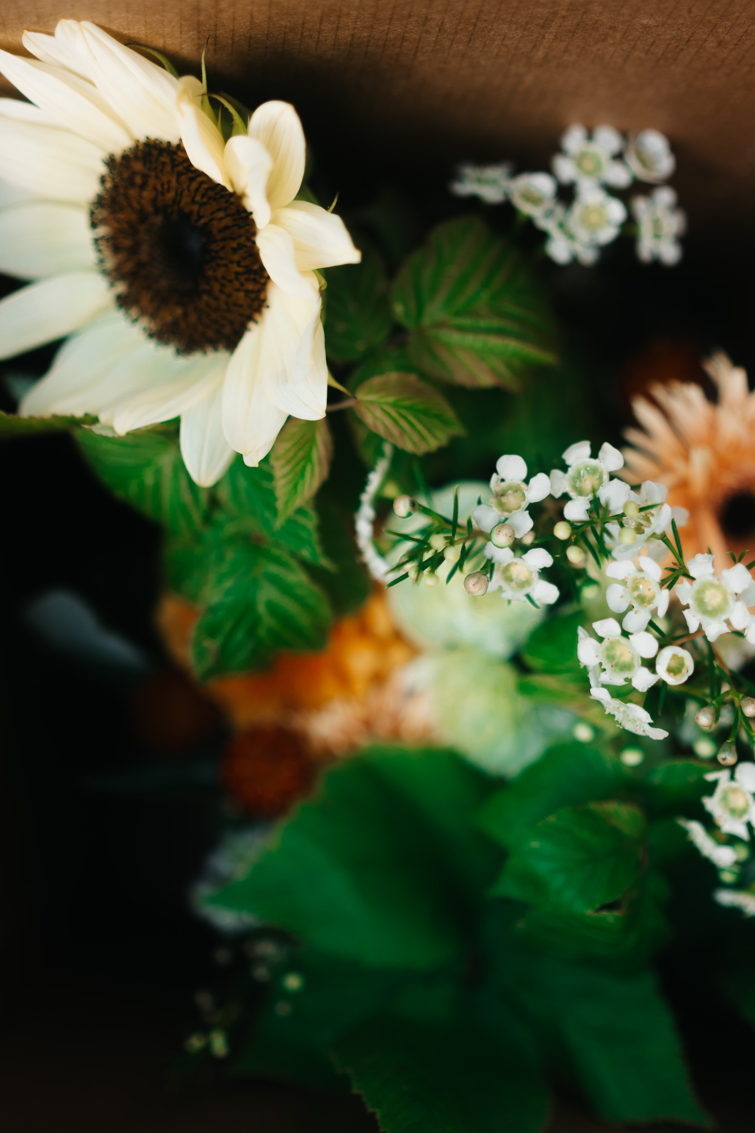 Семейный ужин. Haidarov