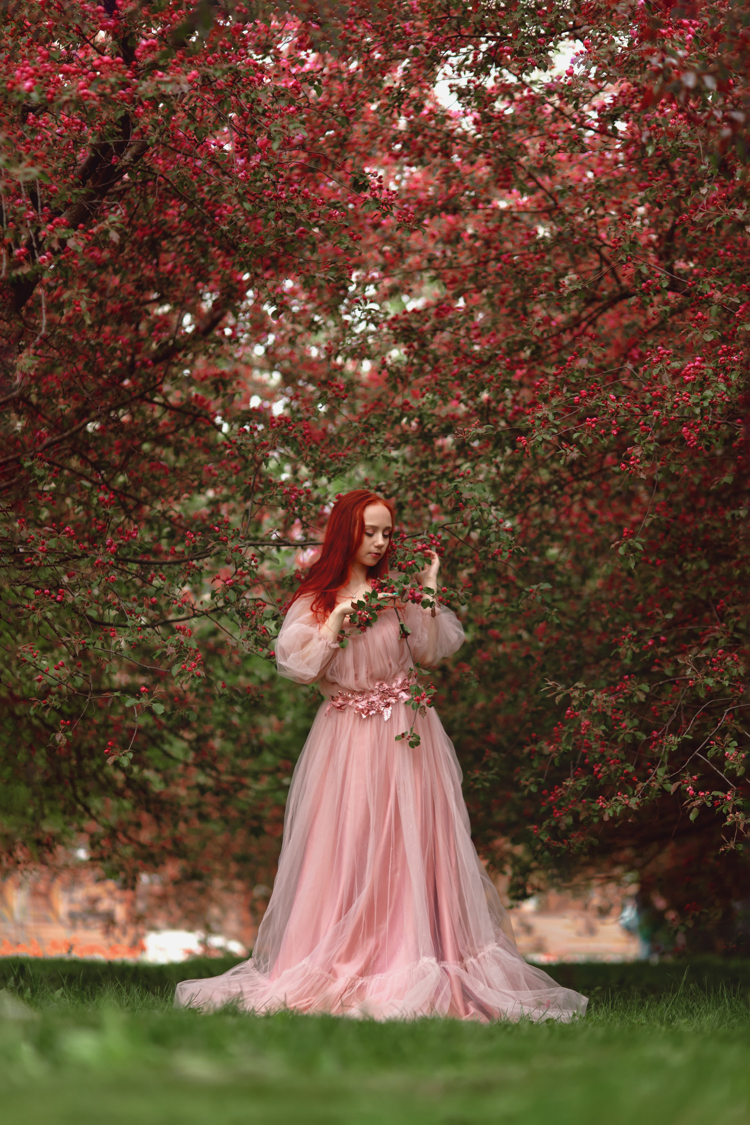 Цветущие облака. Прончатова Алина. Фотограф для семейных, церковных и свадебных съёмок