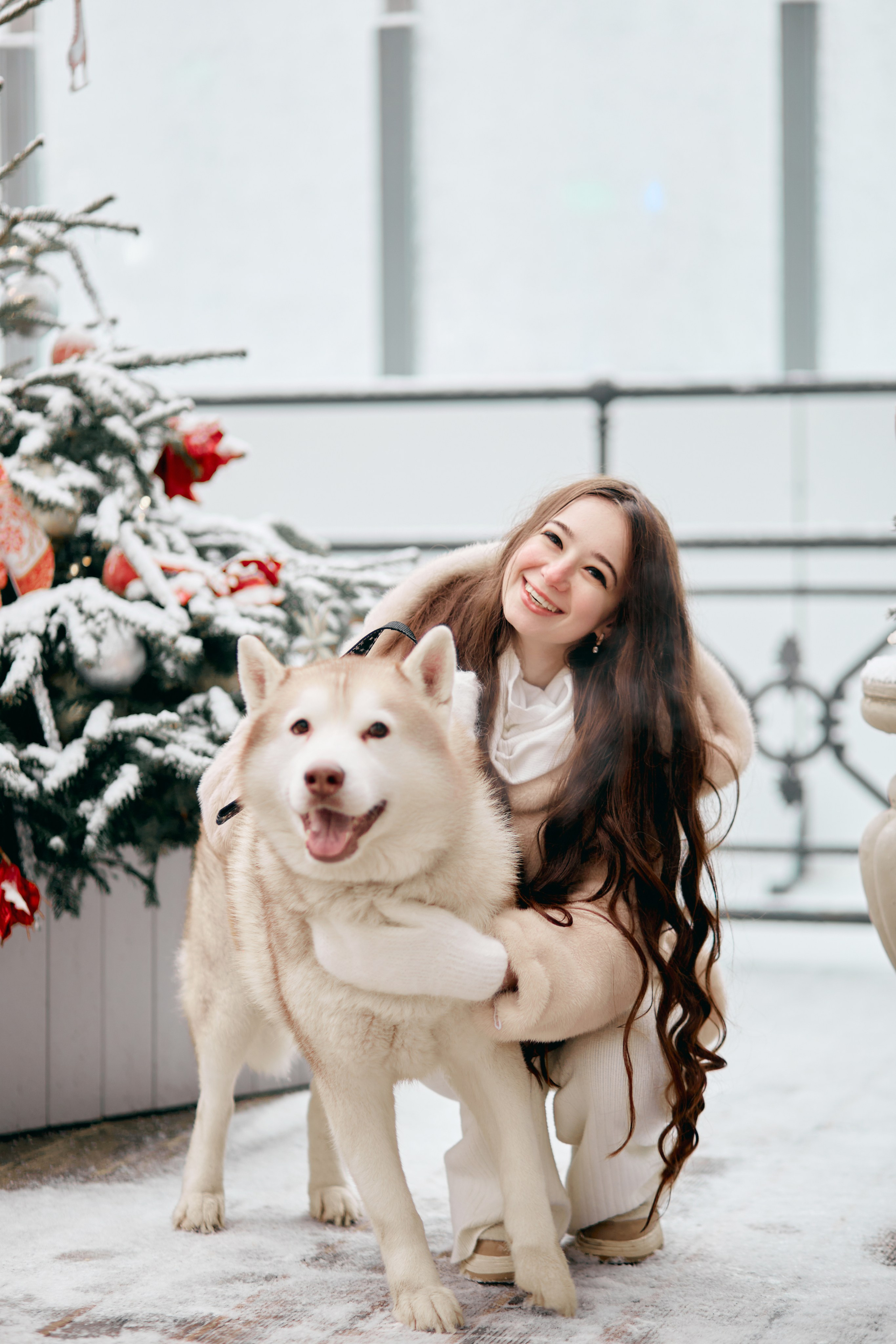 Прогулочная фотосессия с хаски. Прончатова Алина. Фотограф для семейных, церковных и свадебных съёмок
