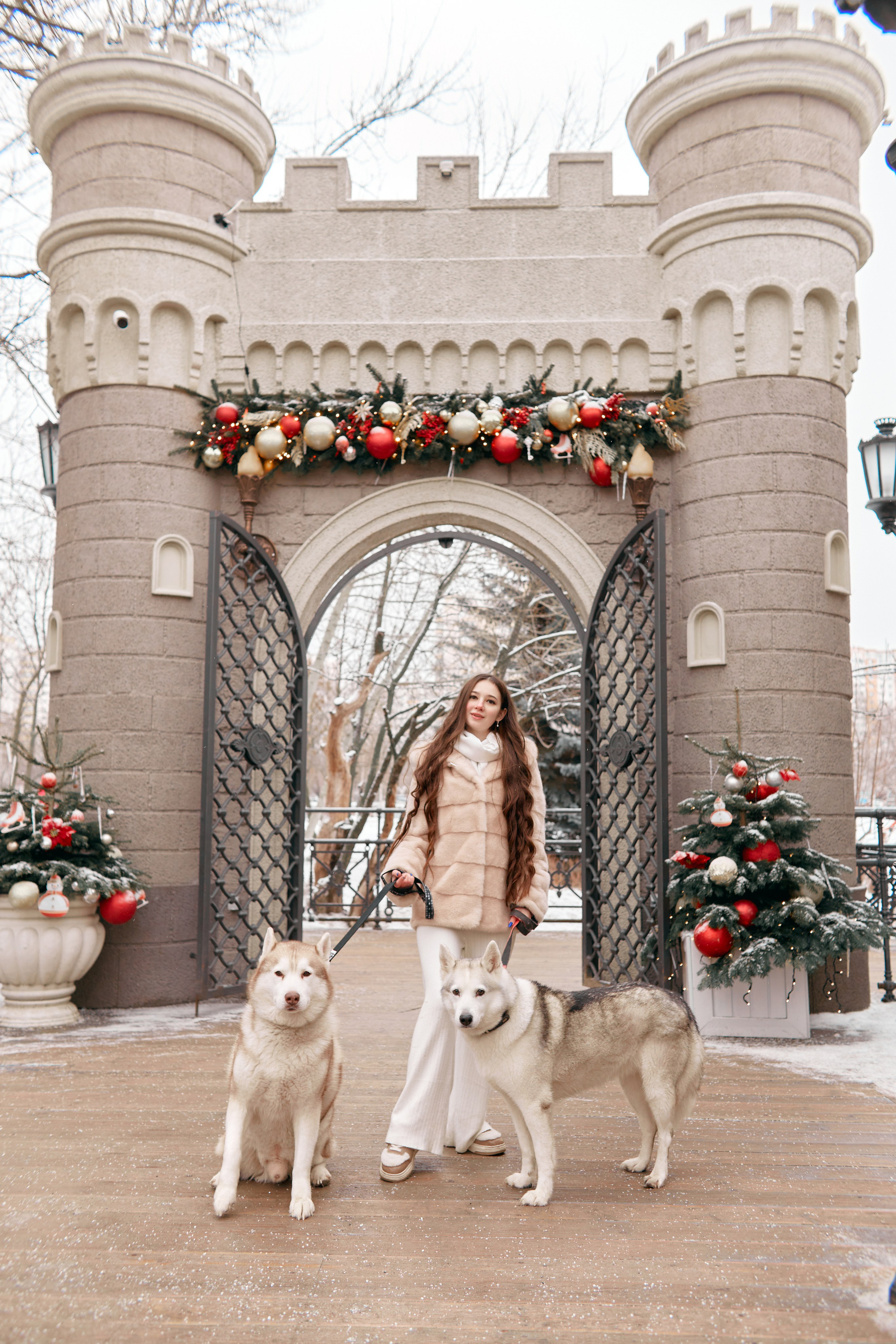 Прогулочная фотосессия с хаски. Прончатова Алина. Фотограф для семейных, церковных и свадебных съёмок