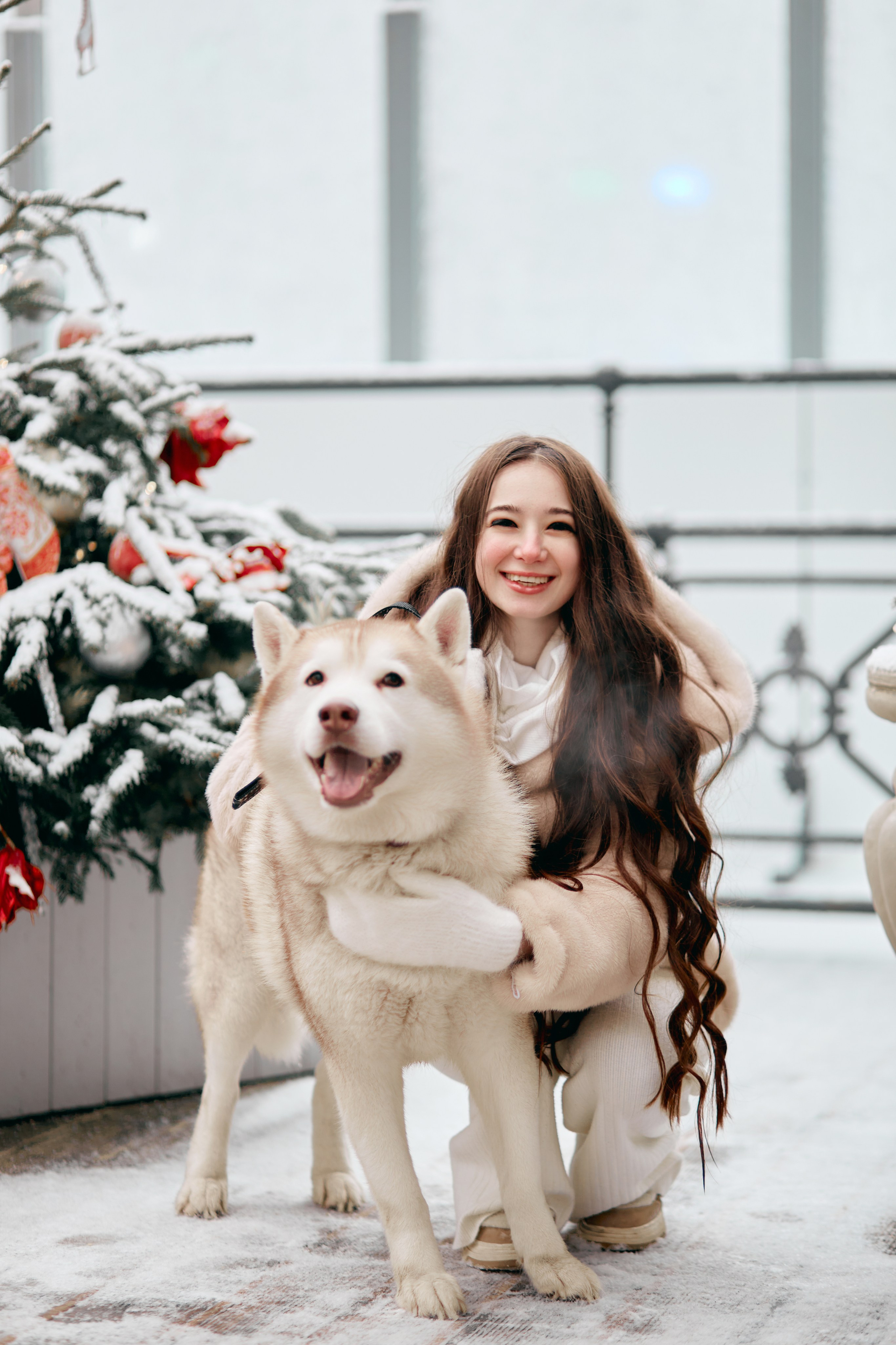 Прогулочная фотосессия с хаски. Прончатова Алина. Фотограф для семейных, церковных и свадебных съёмок