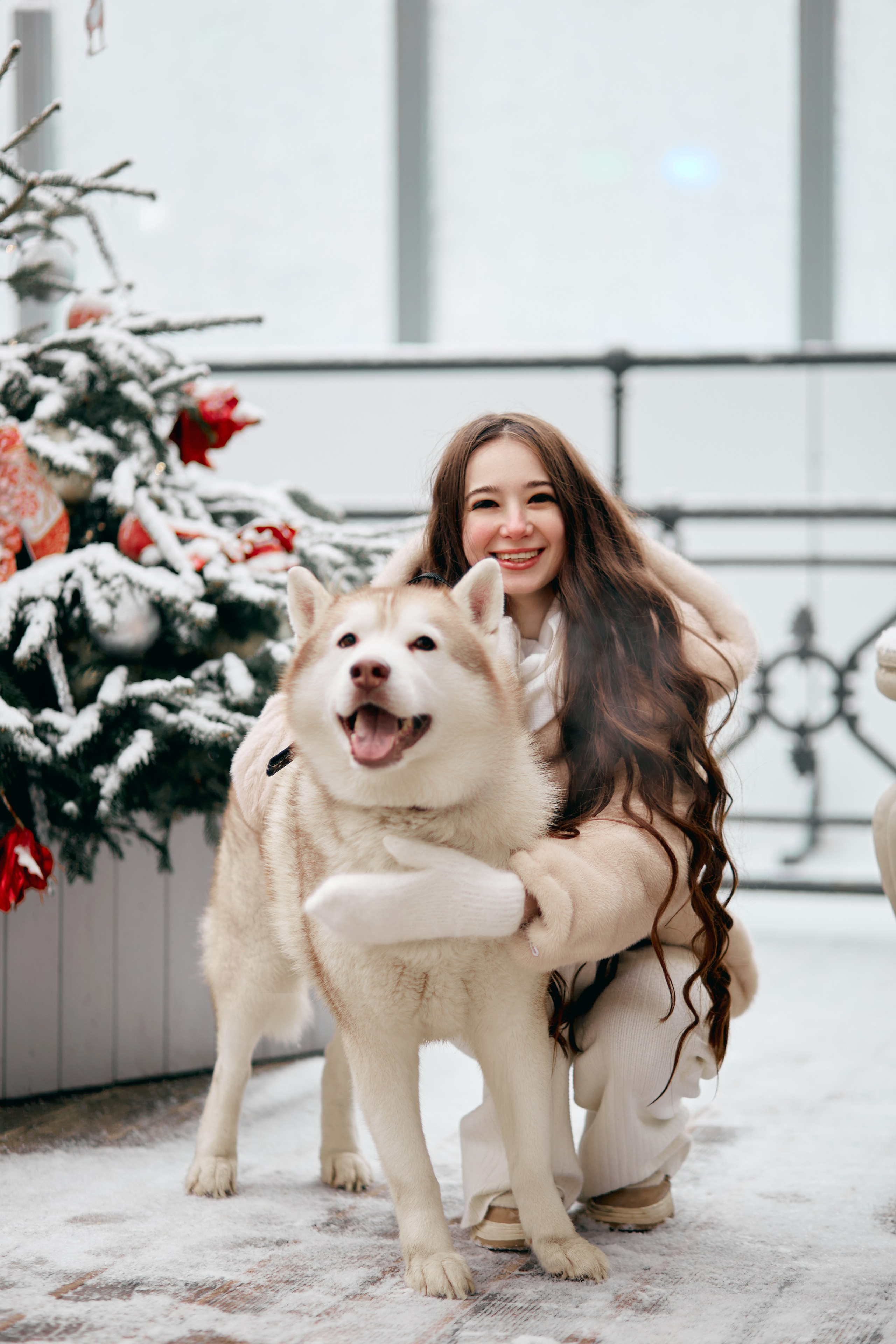Прогулочная фотосессия с хаски. Прончатова Алина. Фотограф для семейных, церковных и свадебных съёмок