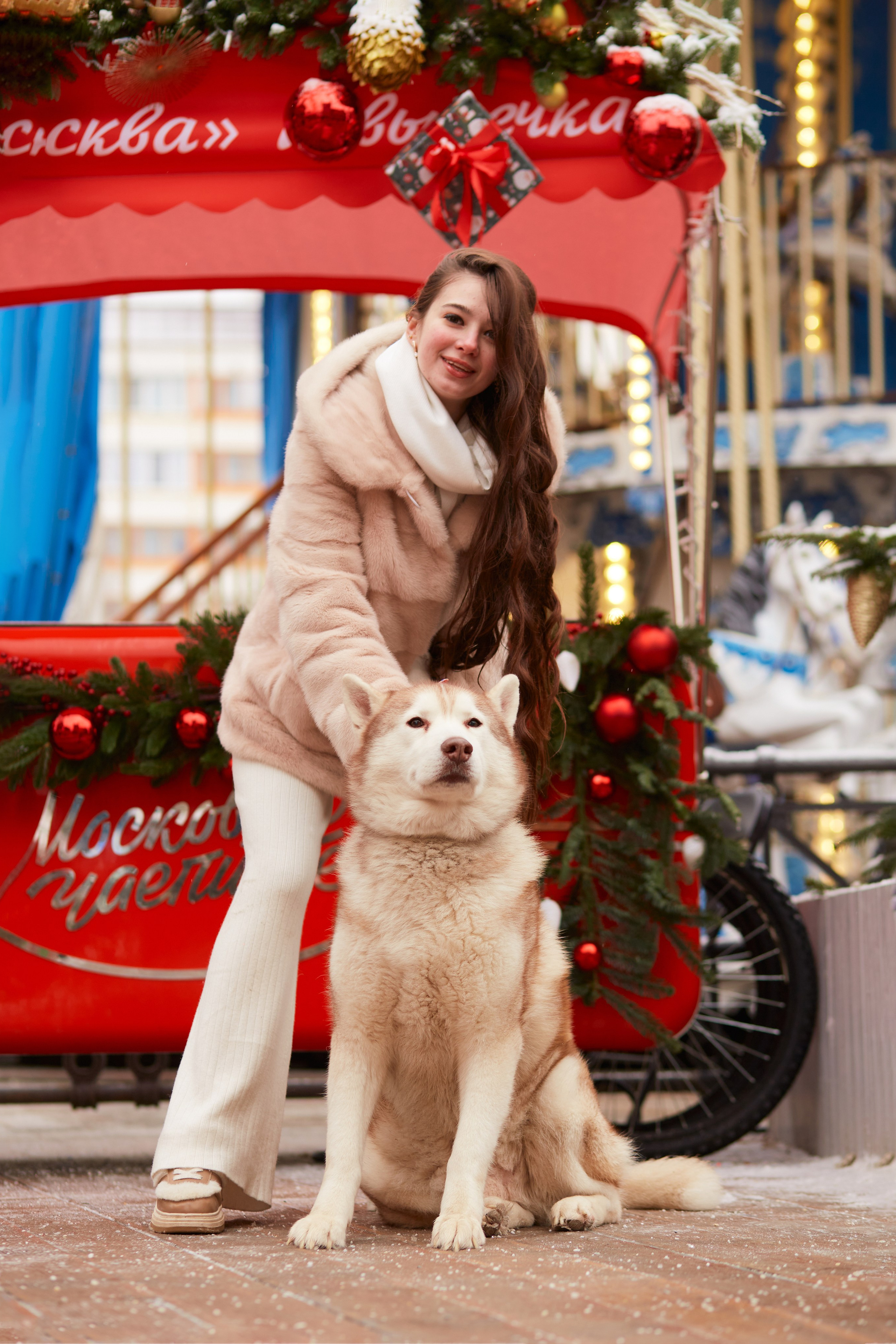 Прогулочная фотосессия с хаски. Прончатова Алина. Фотограф для семейных, церковных и свадебных съёмок