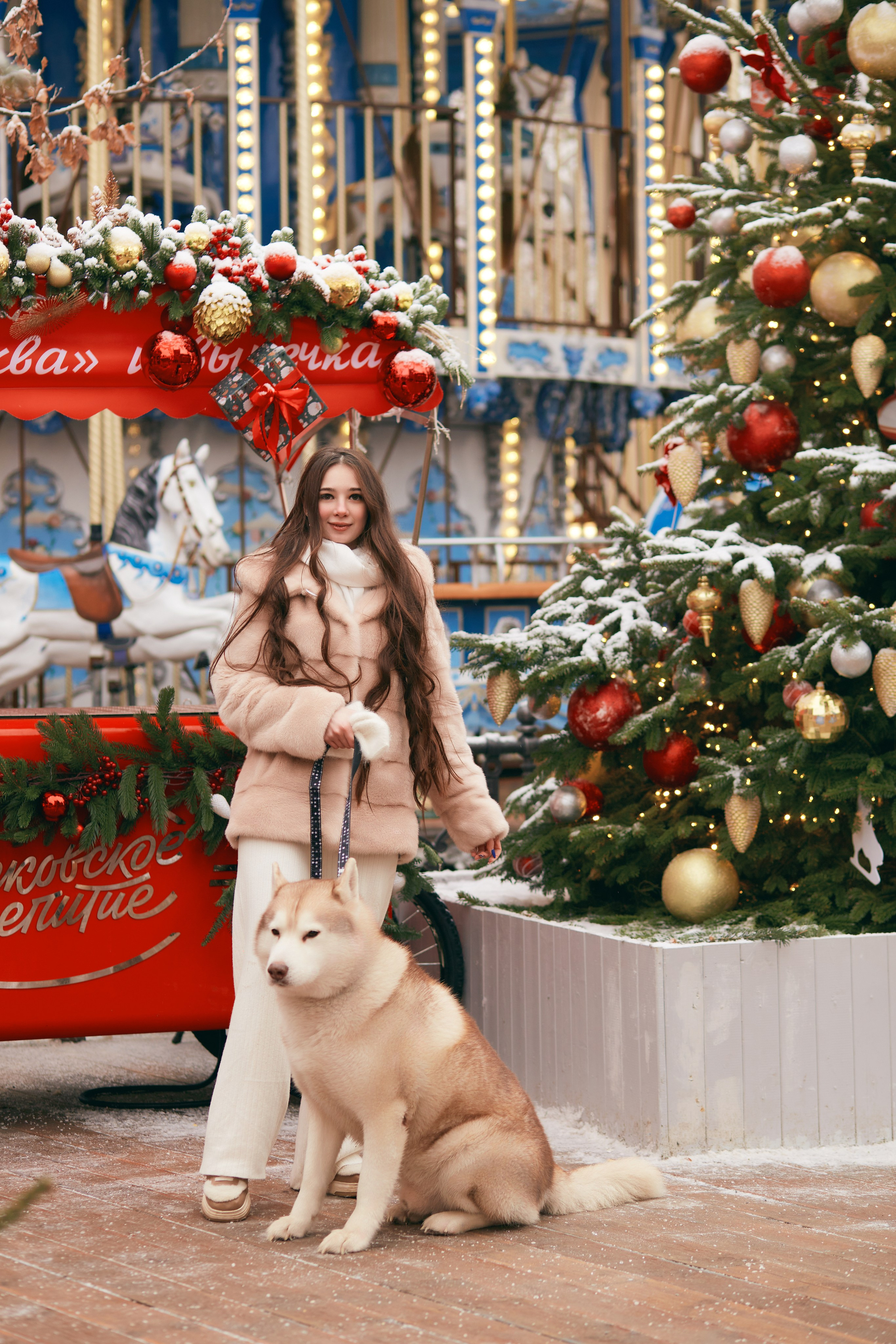 Прогулочная фотосессия с хаски. Прончатова Алина. Фотограф для семейных, церковных и свадебных съёмок