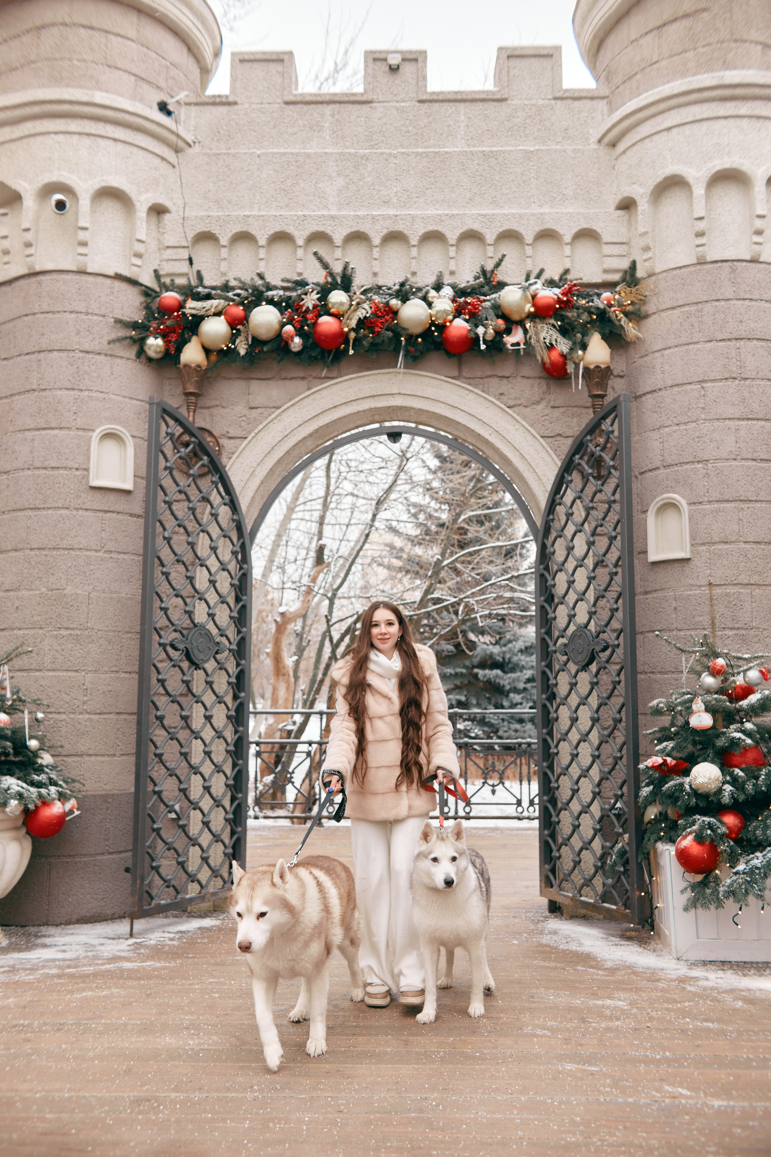 Прогулочная фотосессия с хаски. Прончатова Алина. Фотограф для семейных, церковных и свадебных съёмок