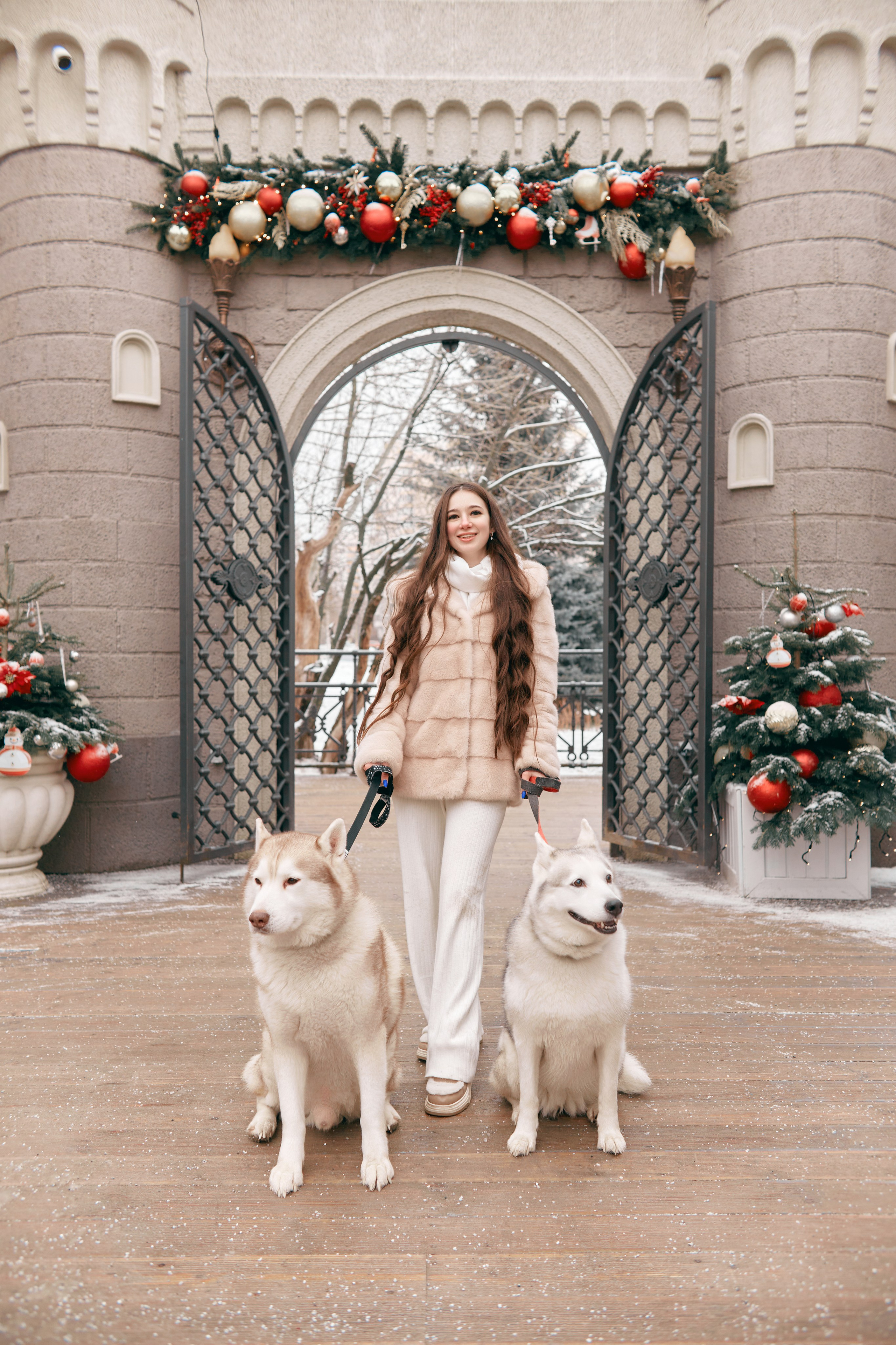 Прогулочная фотосессия с хаски. Прончатова Алина. Фотограф для семейных, церковных и свадебных съёмок