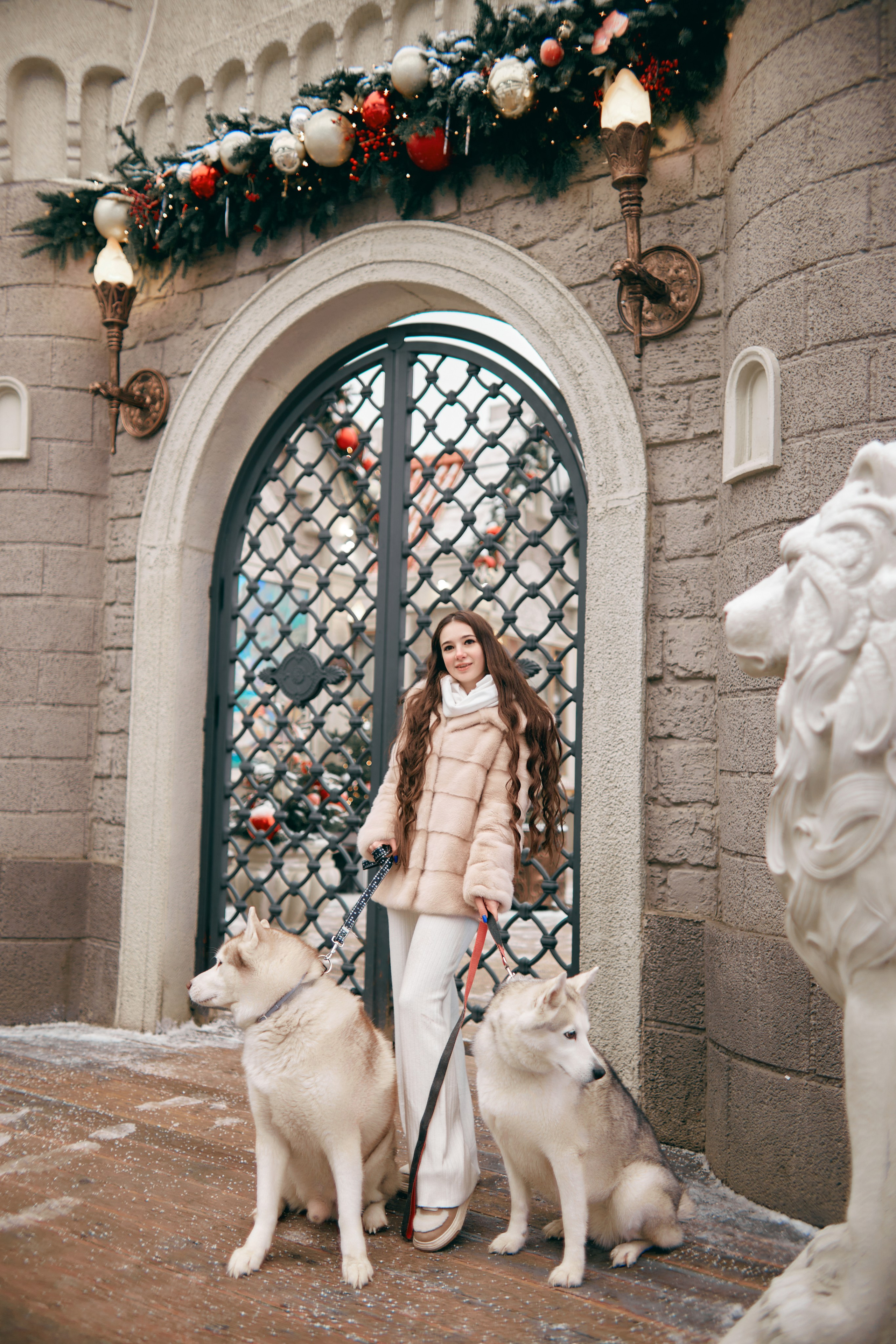Прогулочная фотосессия с хаски. Прончатова Алина. Фотограф для семейных, церковных и свадебных съёмок