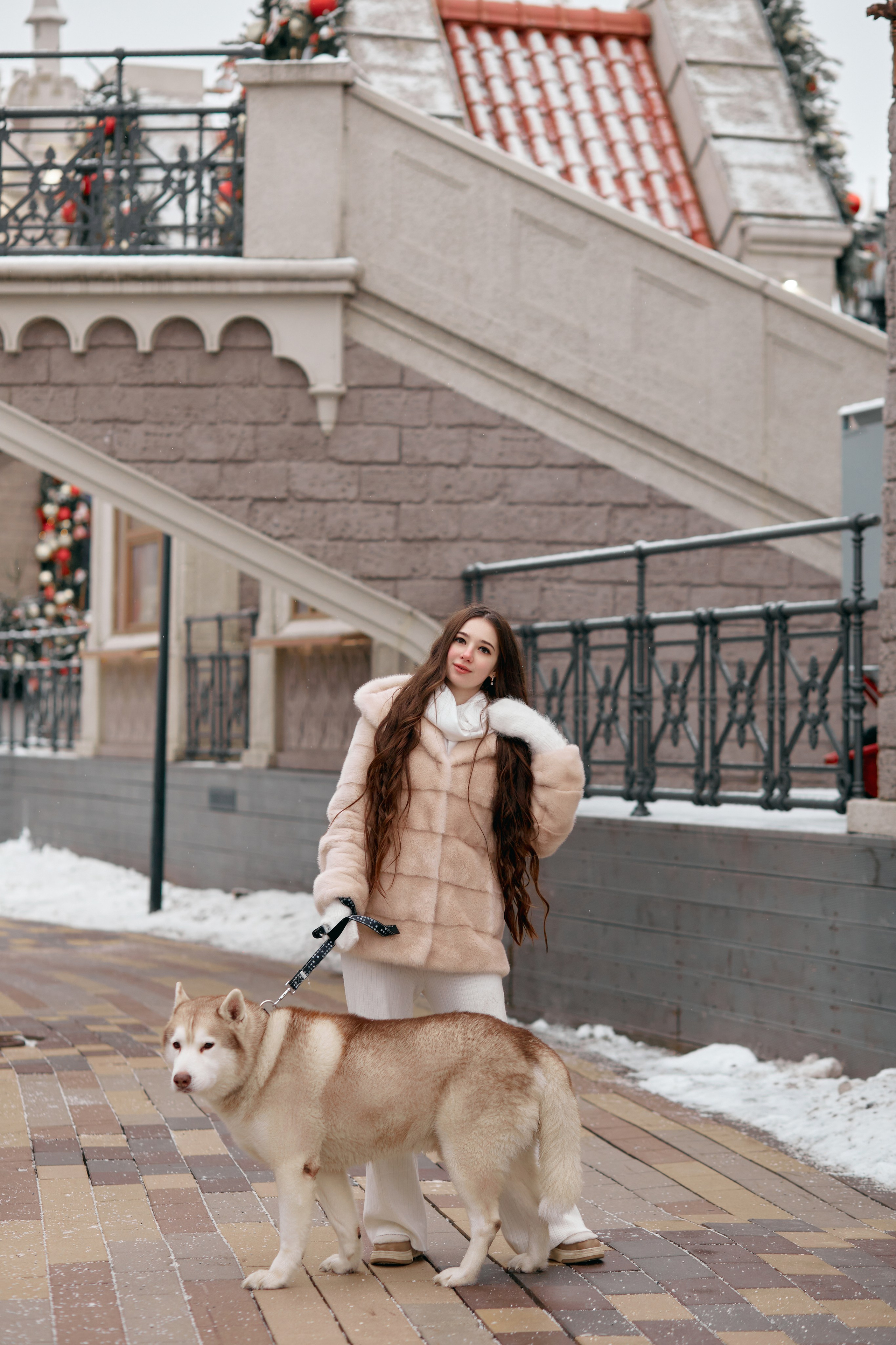 Прогулочная фотосессия с хаски. Прончатова Алина. Фотограф для семейных, церковных и свадебных съёмок