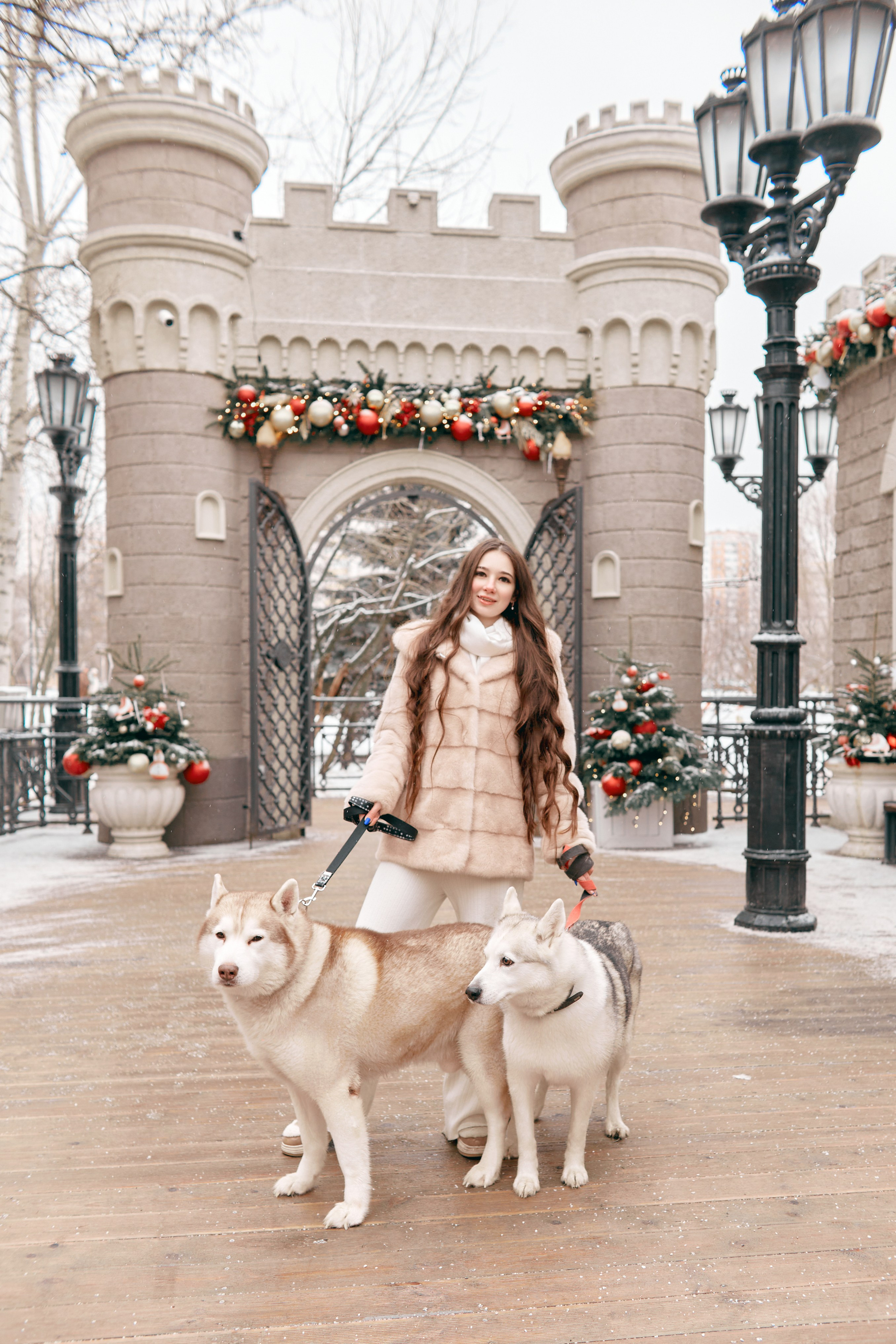 Прогулочная фотосессия с хаски. Прончатова Алина. Фотограф для семейных, церковных и свадебных съёмок