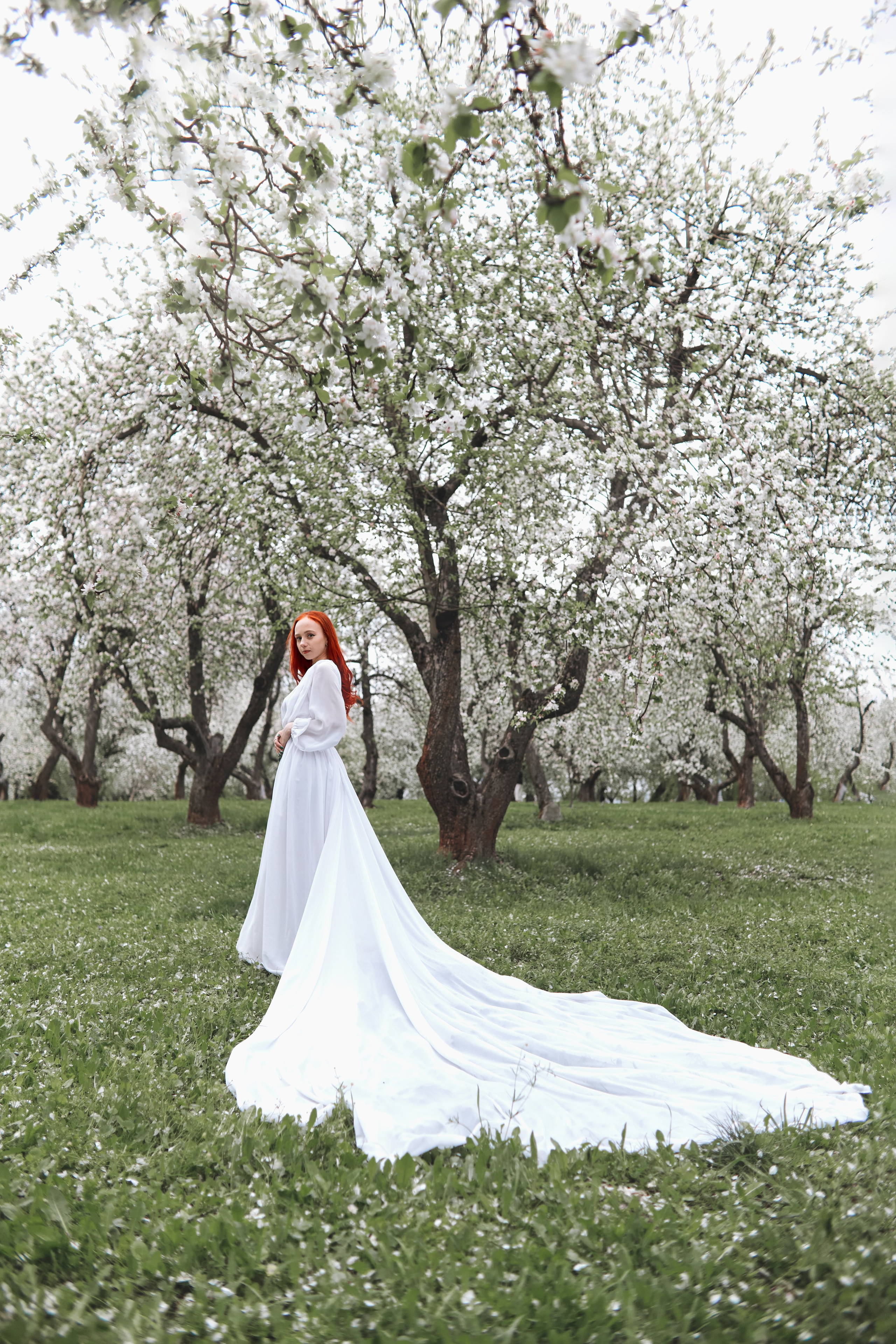 Цветущие облака. Прончатова Алина. Фотограф для семейных, церковных и свадебных съёмок