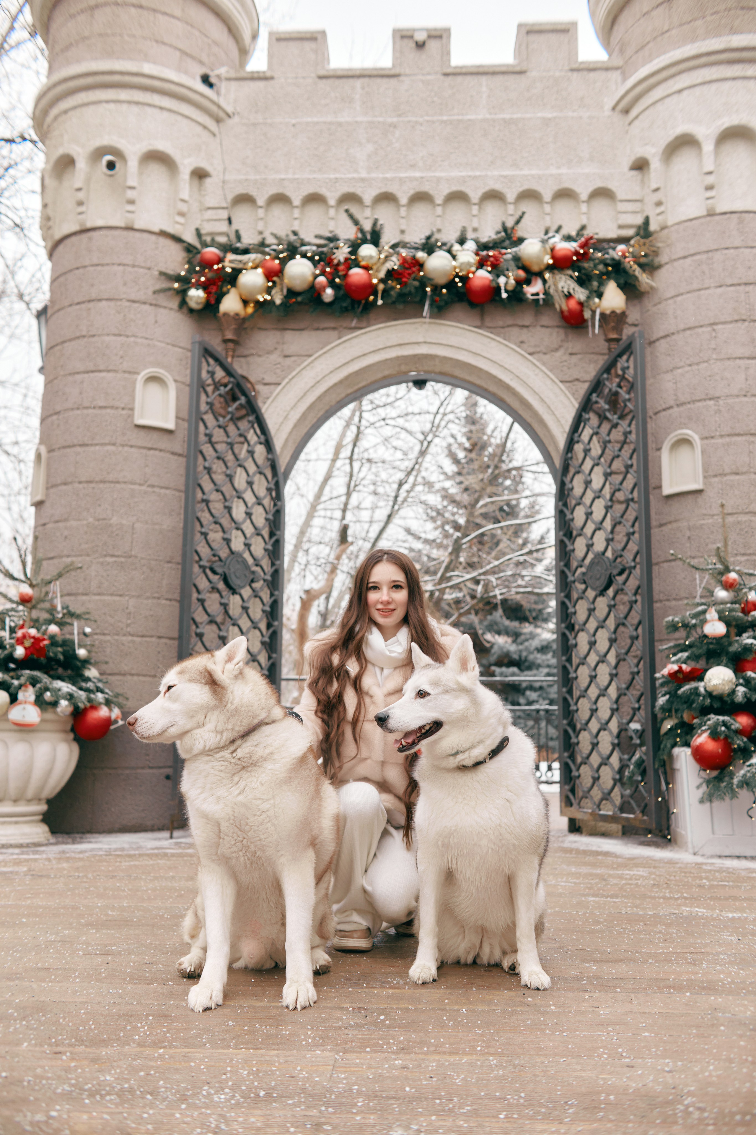 Прогулочная фотосессия с хаски. Прончатова Алина. Фотограф для семейных, церковных и свадебных съёмок