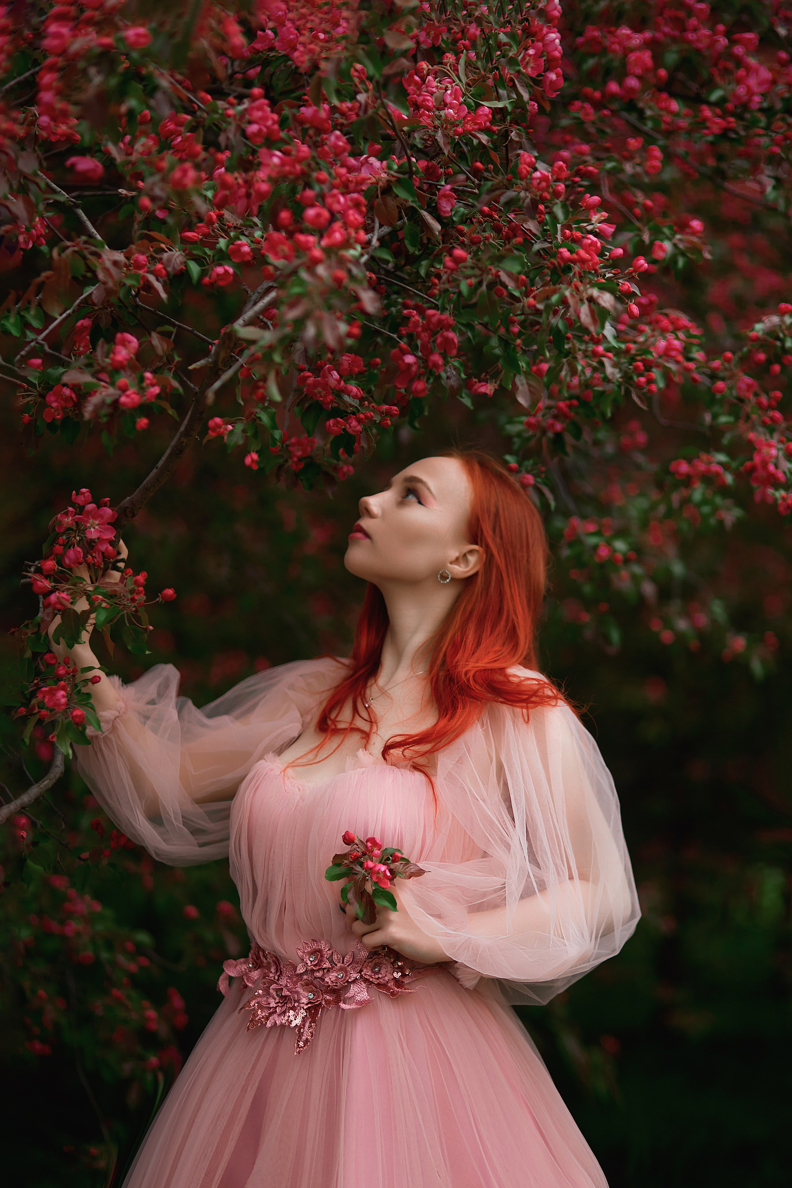 Цветущие облака. Прончатова Алина. Фотограф для семейных, церковных и свадебных съёмок