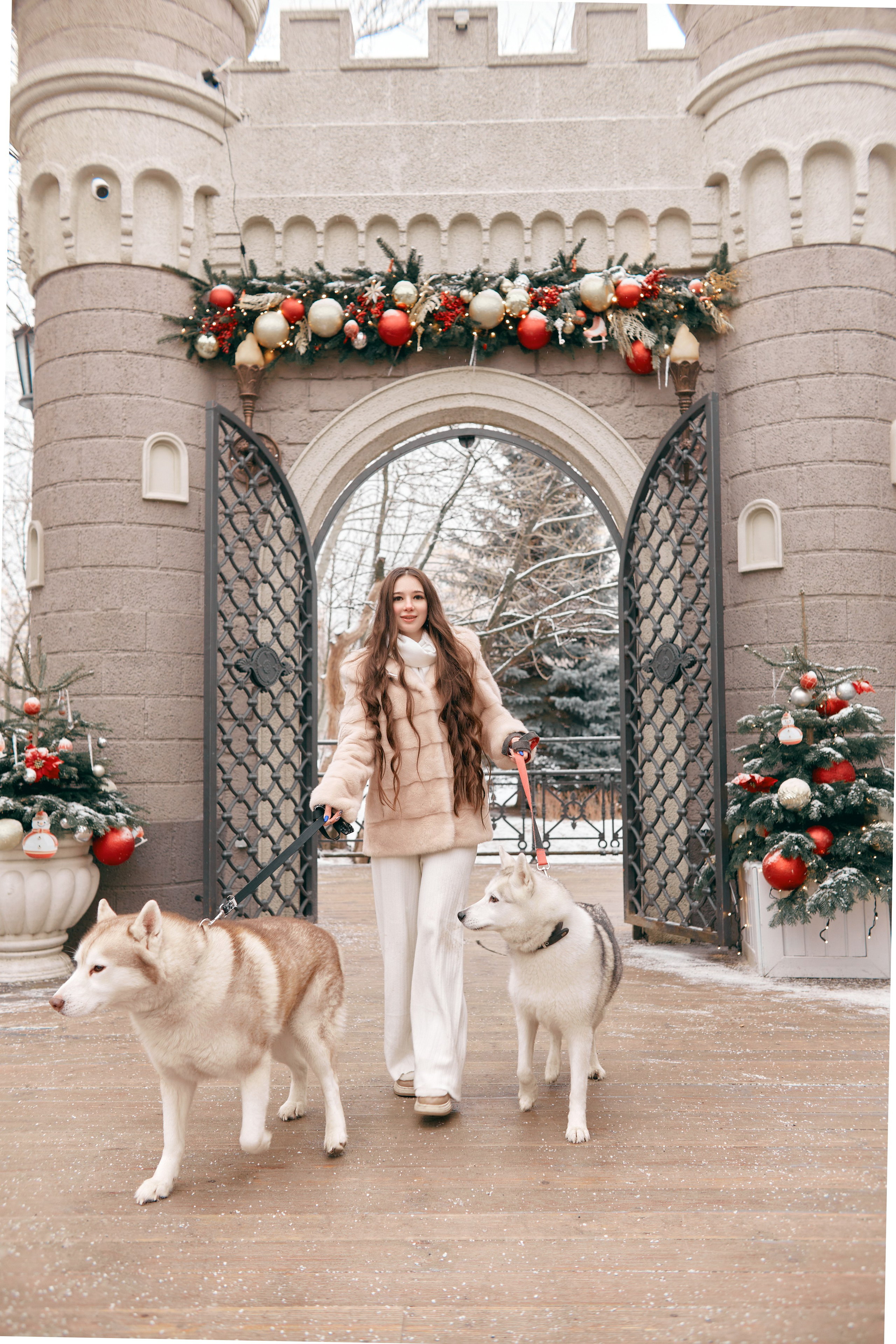 Прогулочная фотосессия с хаски. Прончатова Алина. Фотограф для семейных, церковных и свадебных съёмок