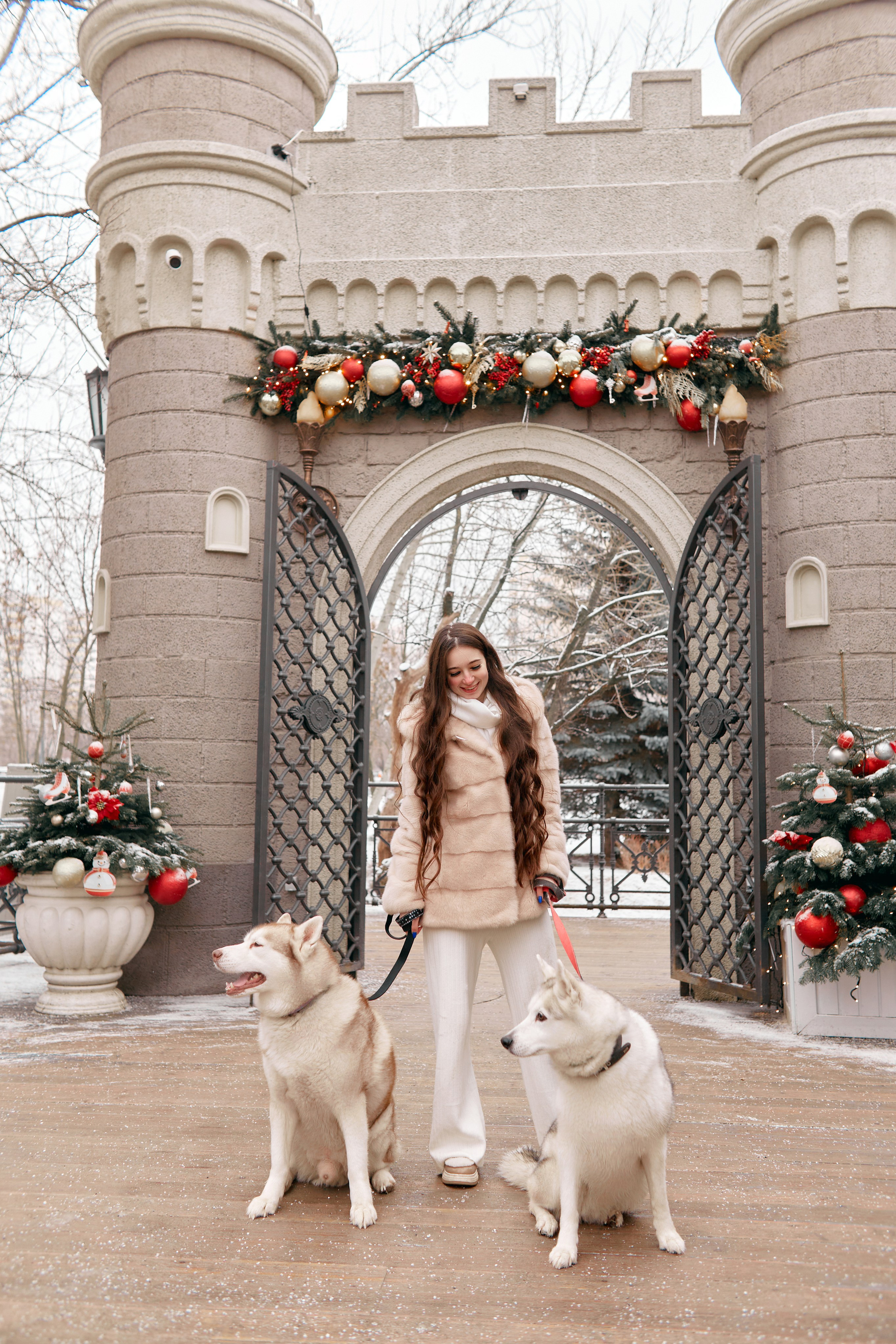 Прогулочная фотосессия с хаски. Прончатова Алина. Фотограф для семейных, церковных и свадебных съёмок