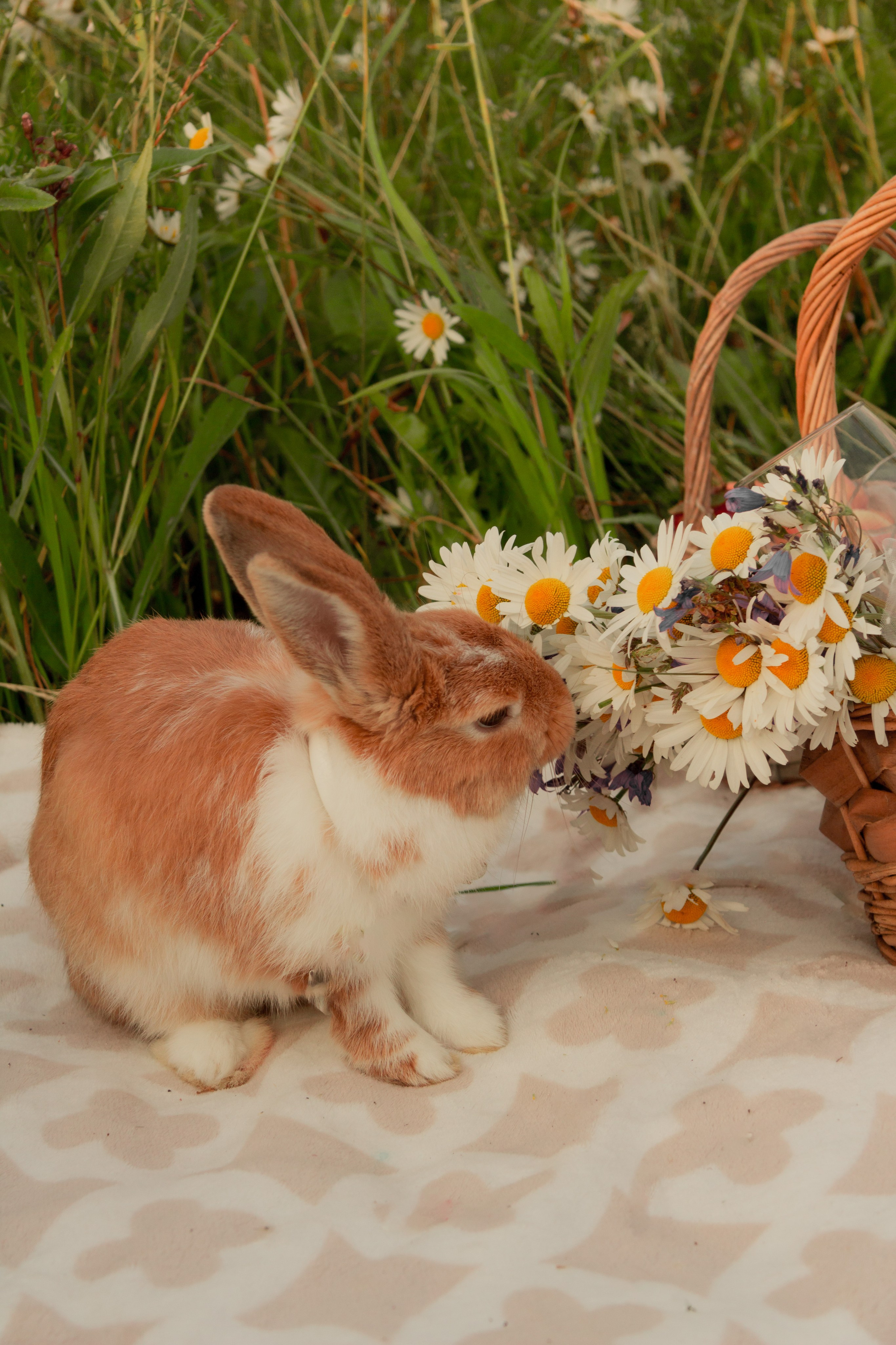 Весёлое лето. Прончатова Алина. Фотограф для семейных, церковных и свадебных съёмок