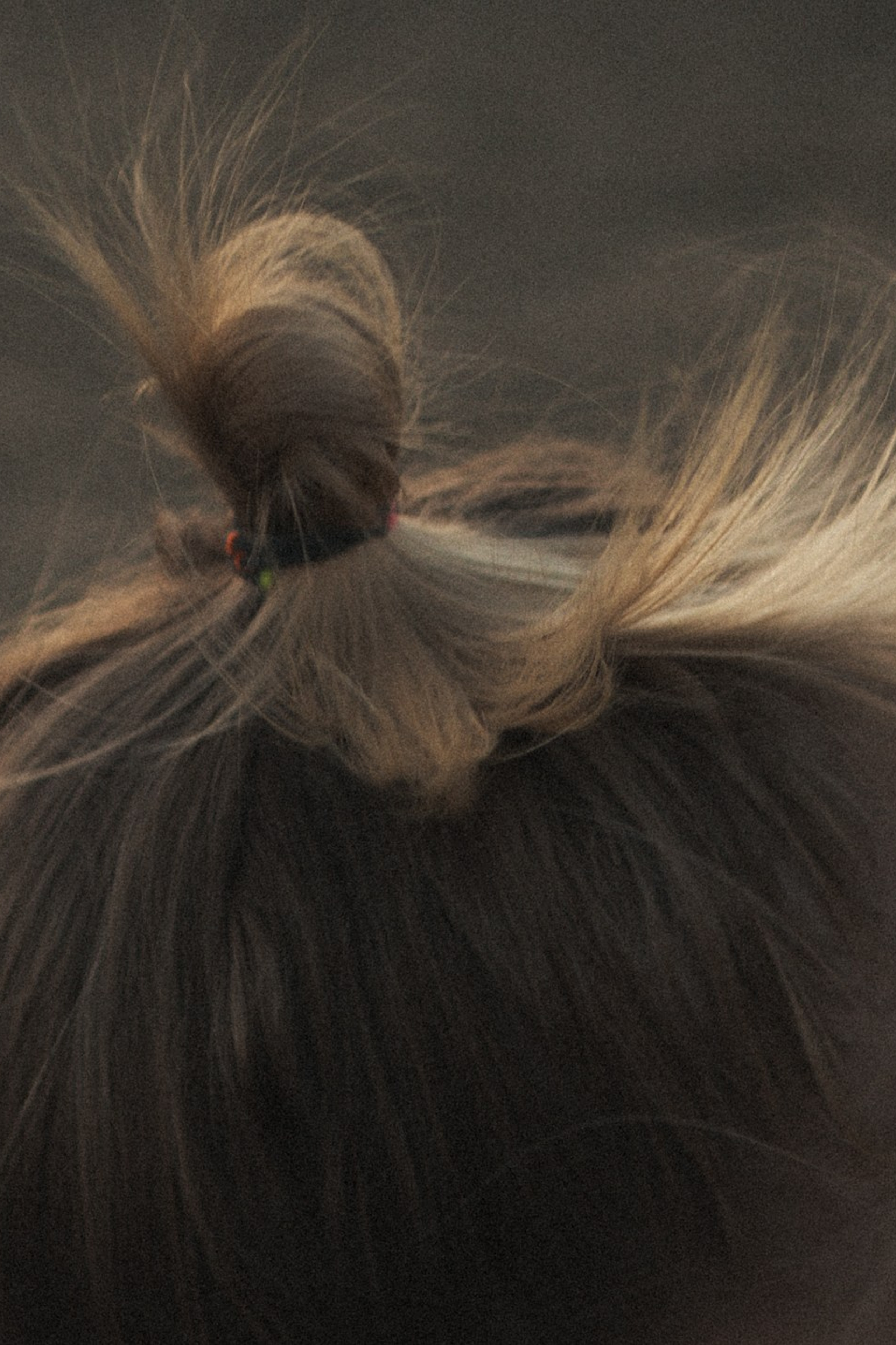 Истории. Фотограф Новосибирск