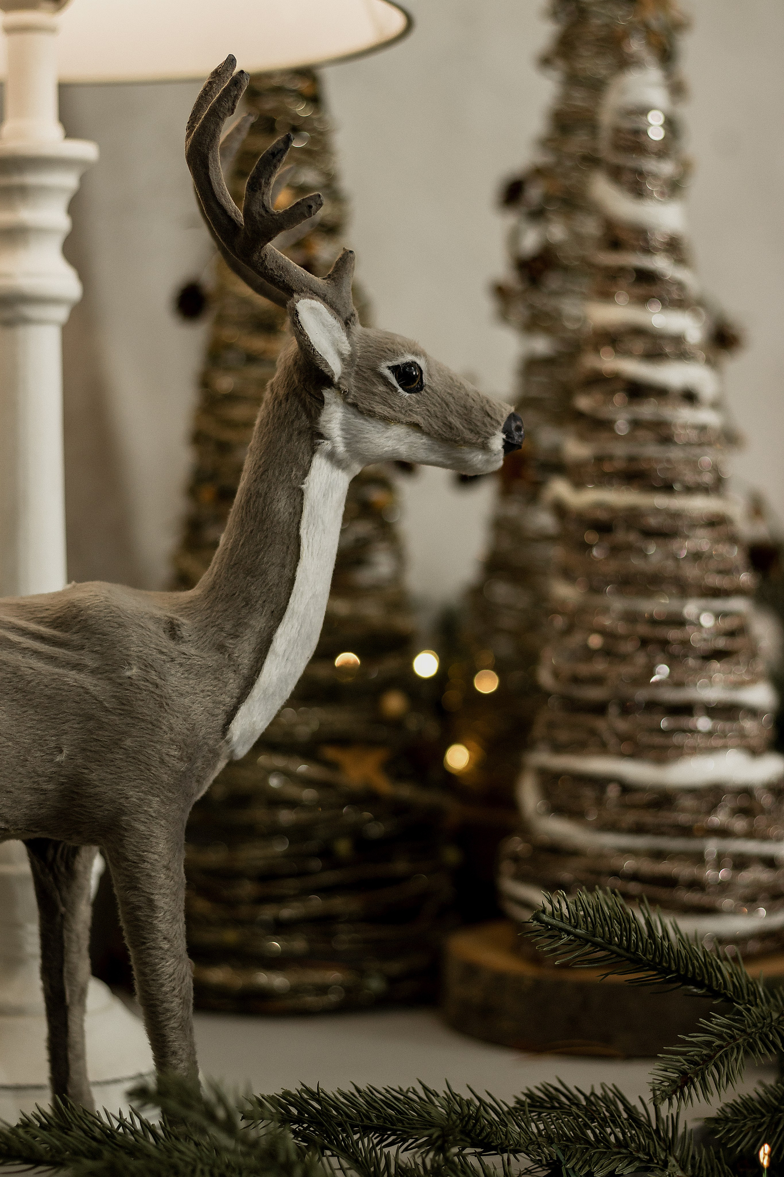 Отзывы. Семейный фотограф Кострома/Санкт-Петребург Дарья Гавриченко