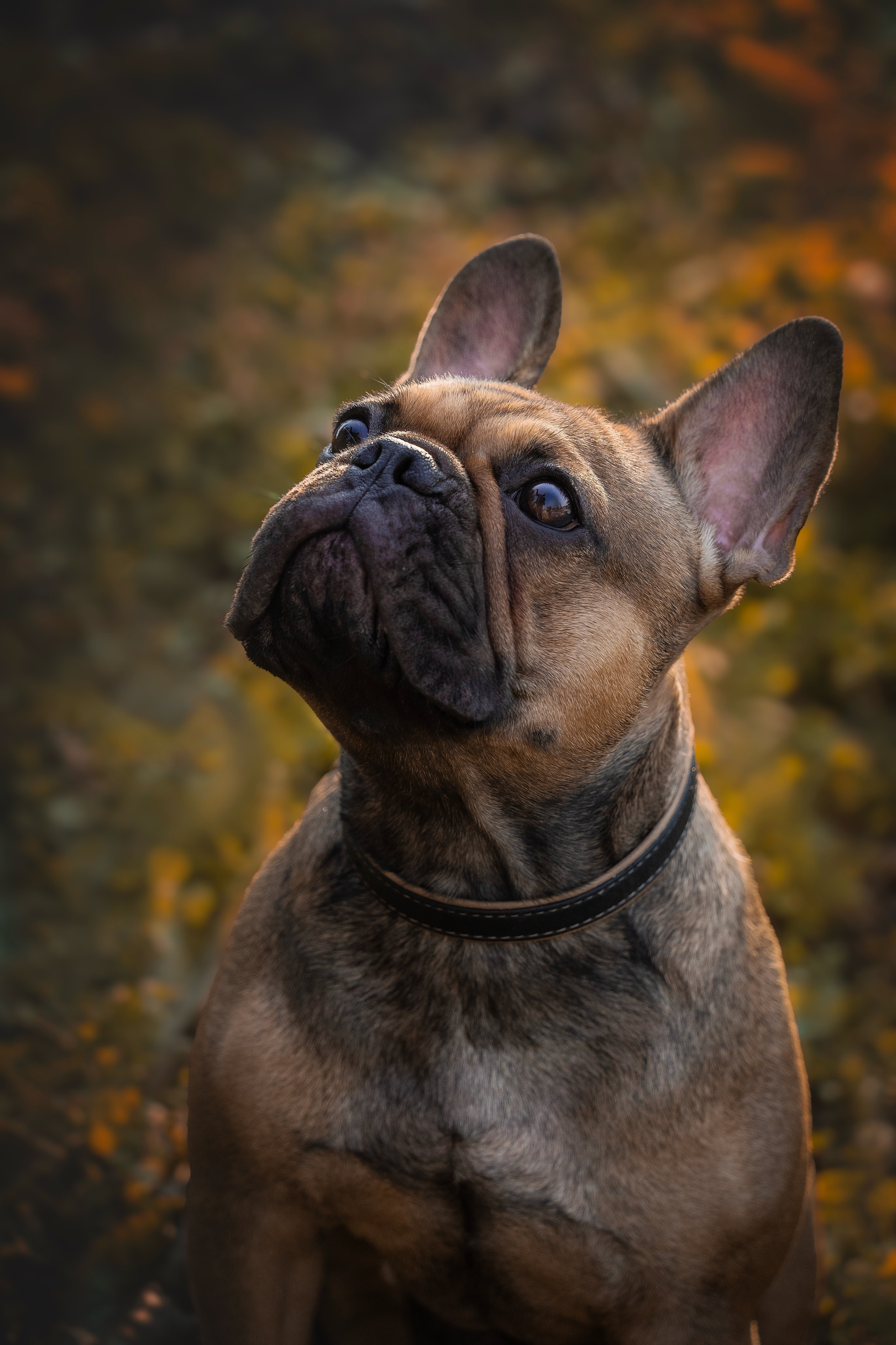 «Булочный» Фото день