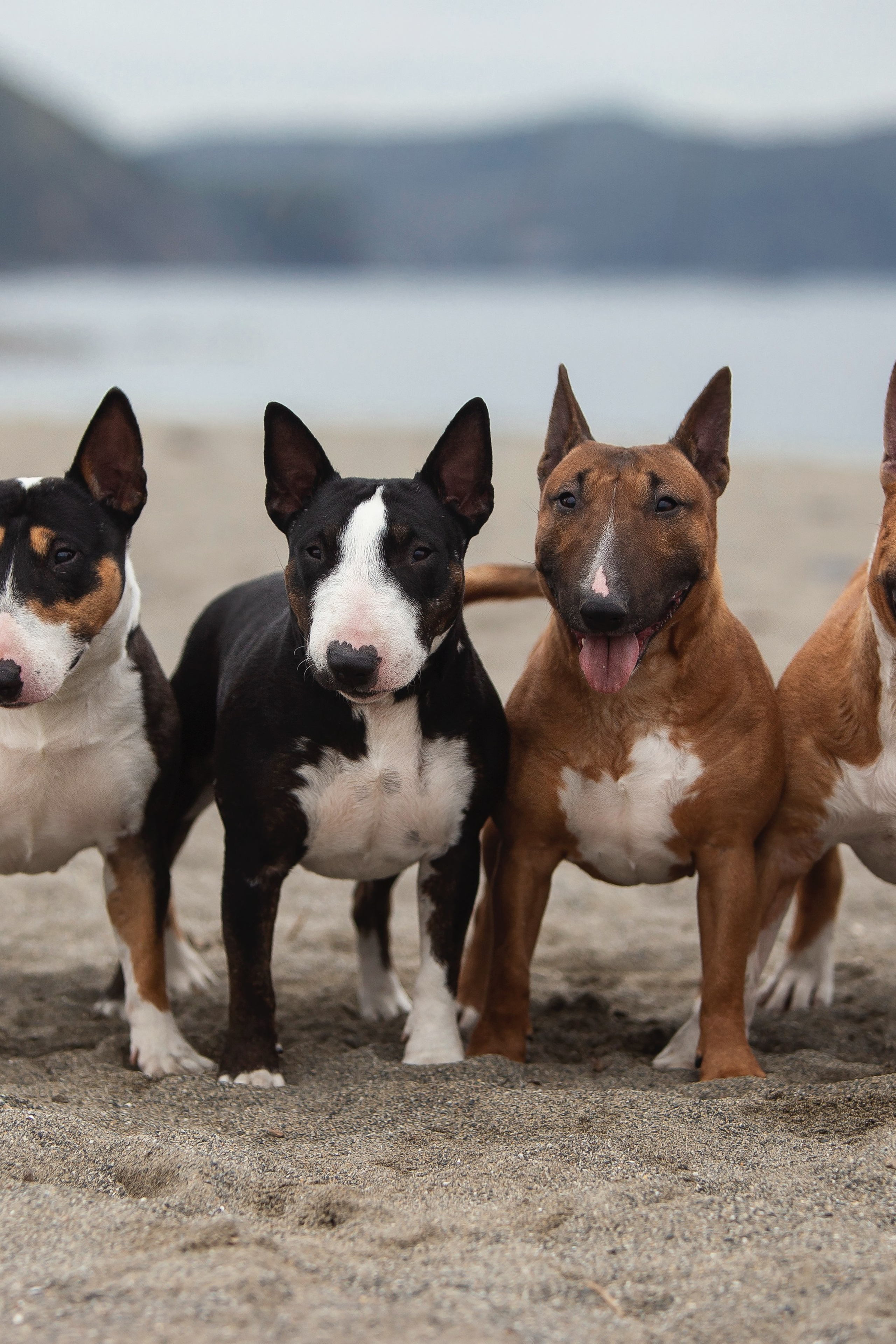 Экстерьерная Съёмка