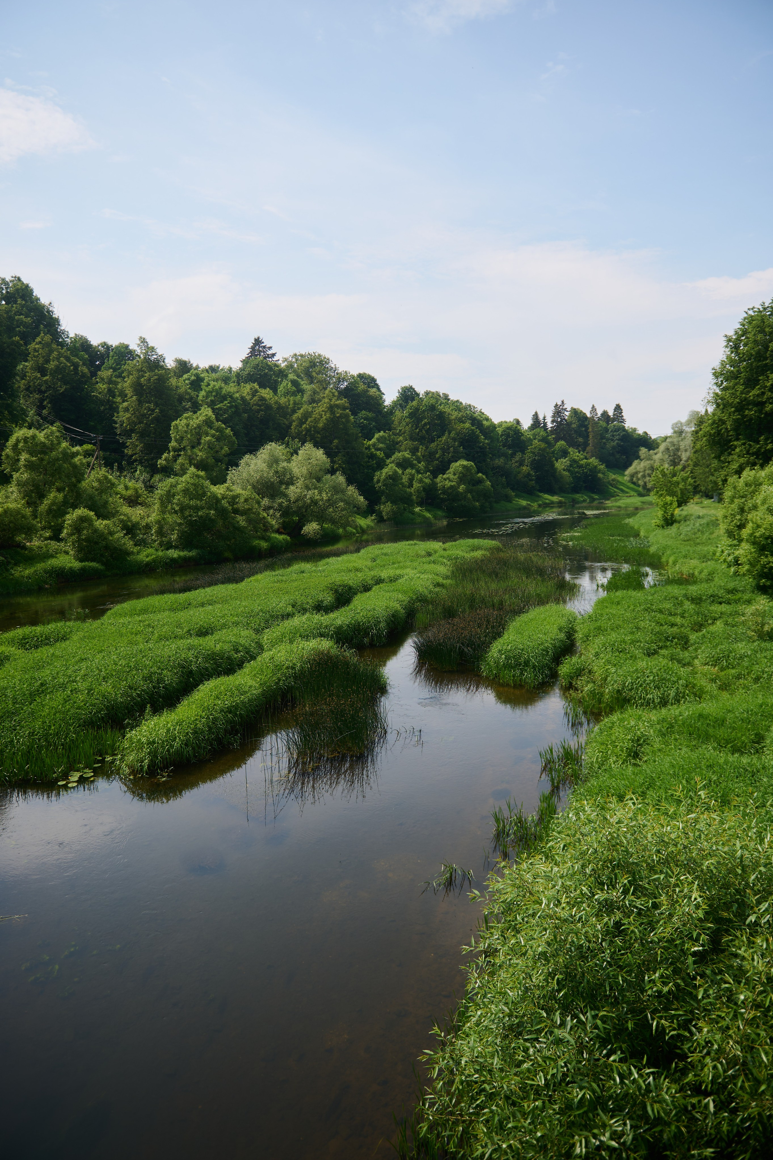 Июнь&nbsp;р. Протва