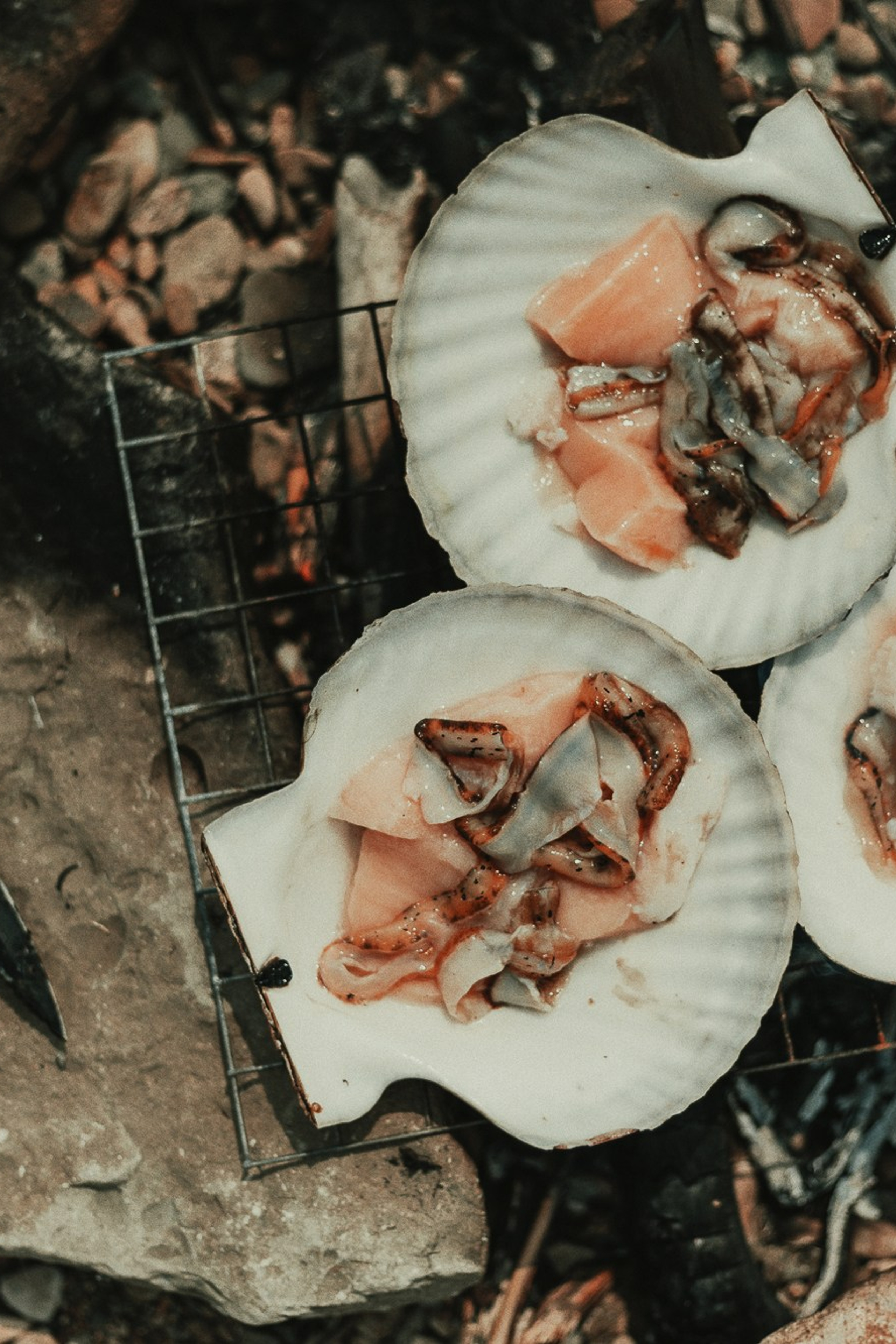 ALEX TRIP. Oskar Dallas™