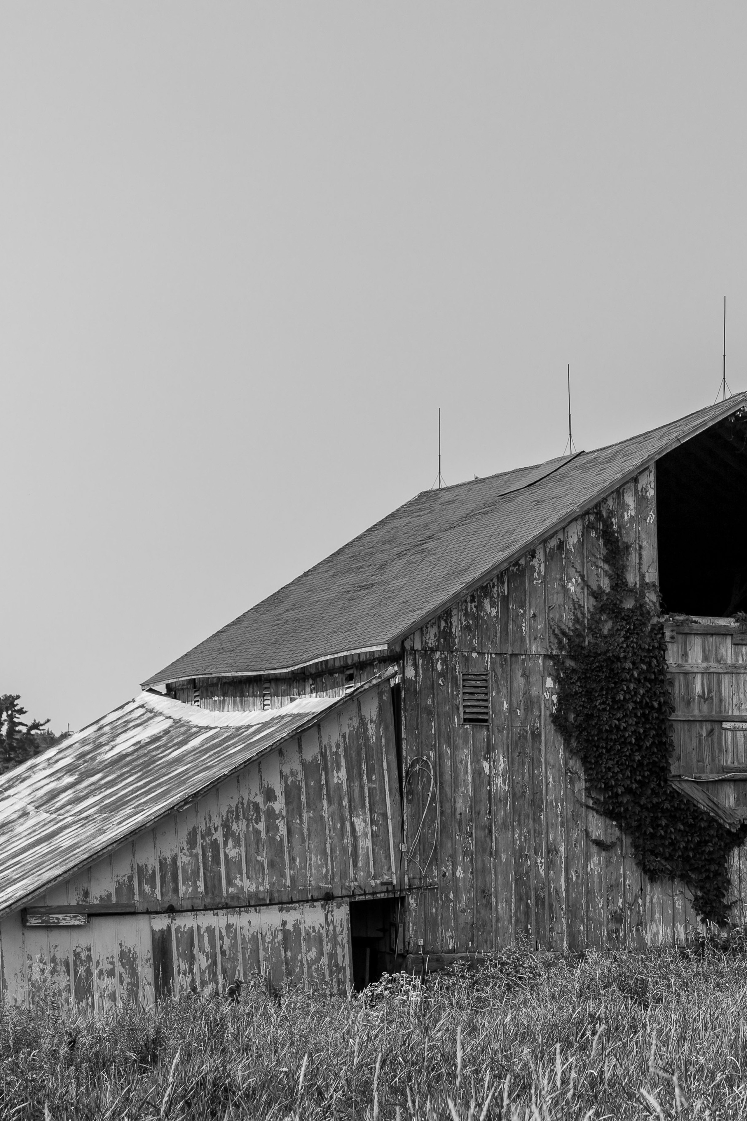 Здание амбара, г. Фэрфилд, штат Айова, США/Barn Building, Fairfield, Iowa, USA