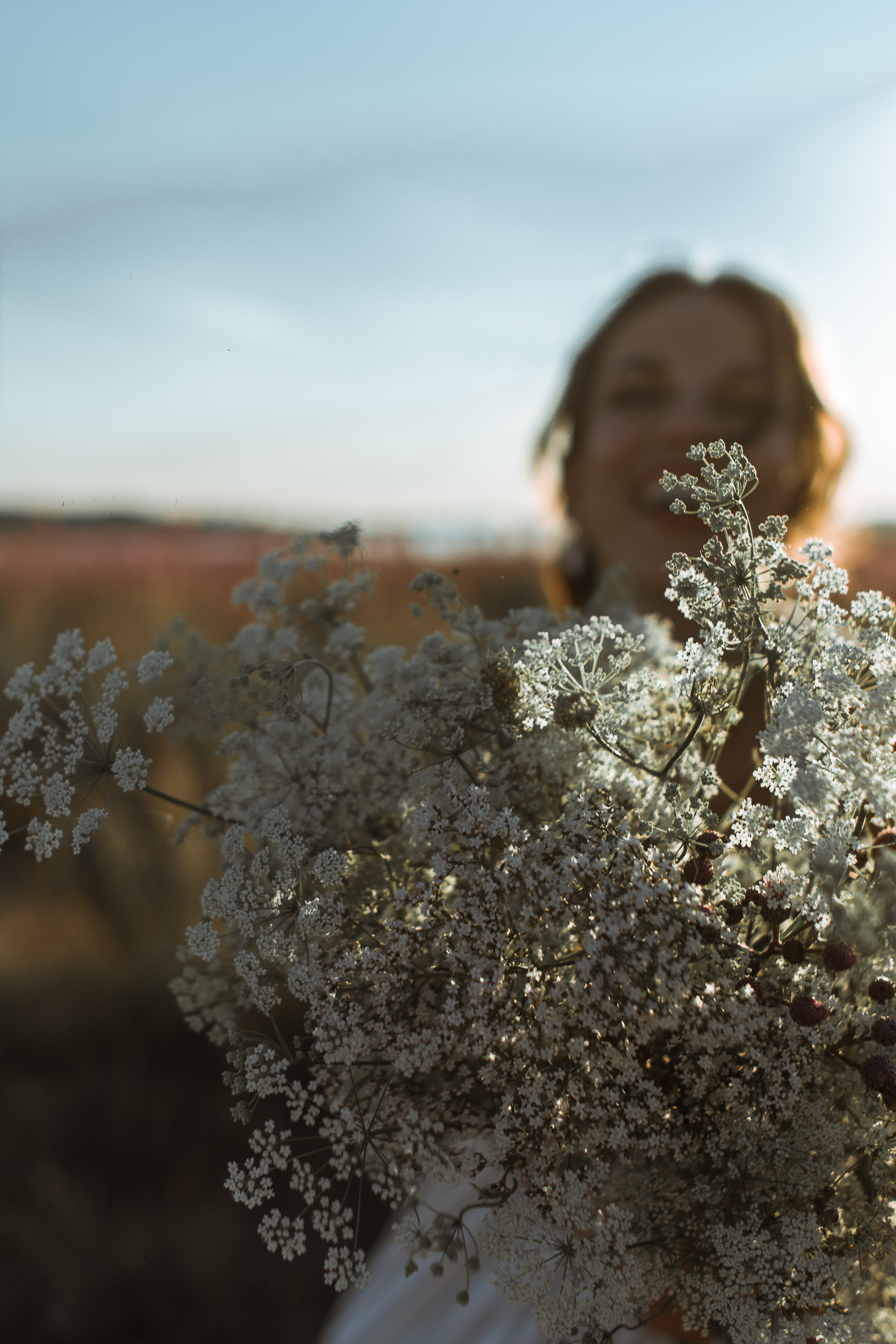 Поле цветов