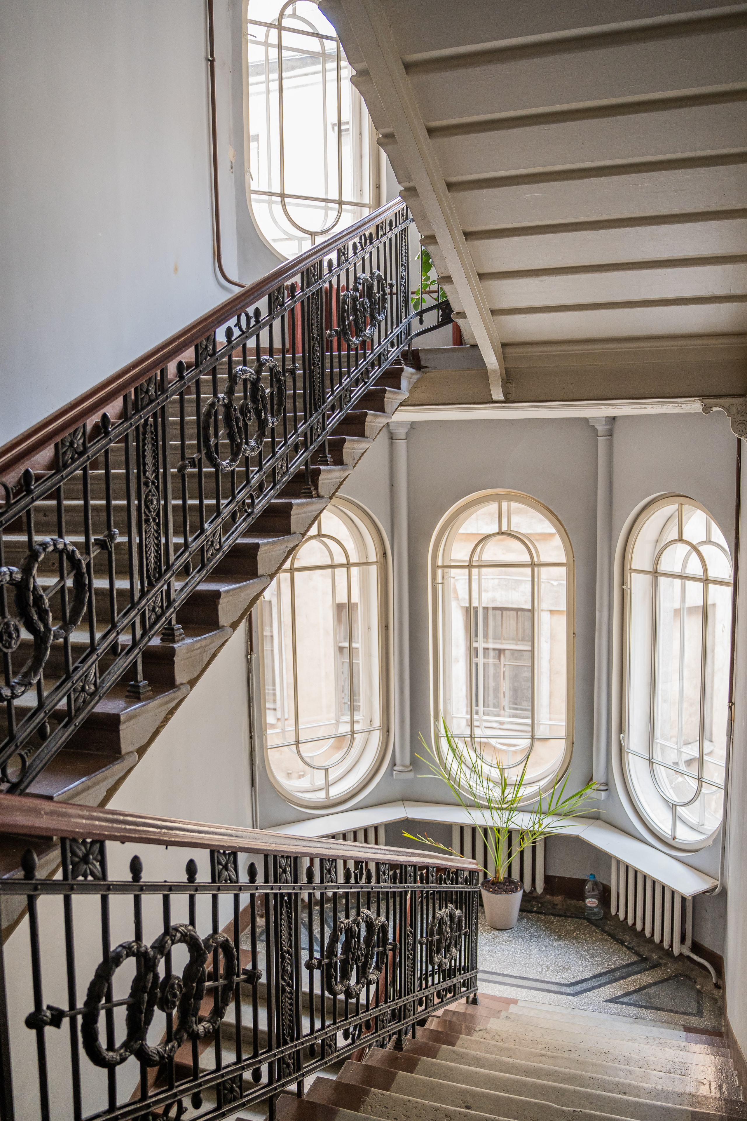 Блог. Фотограф и искусствовед в Туле и Санкт-Петербурге Нелли Некрасова