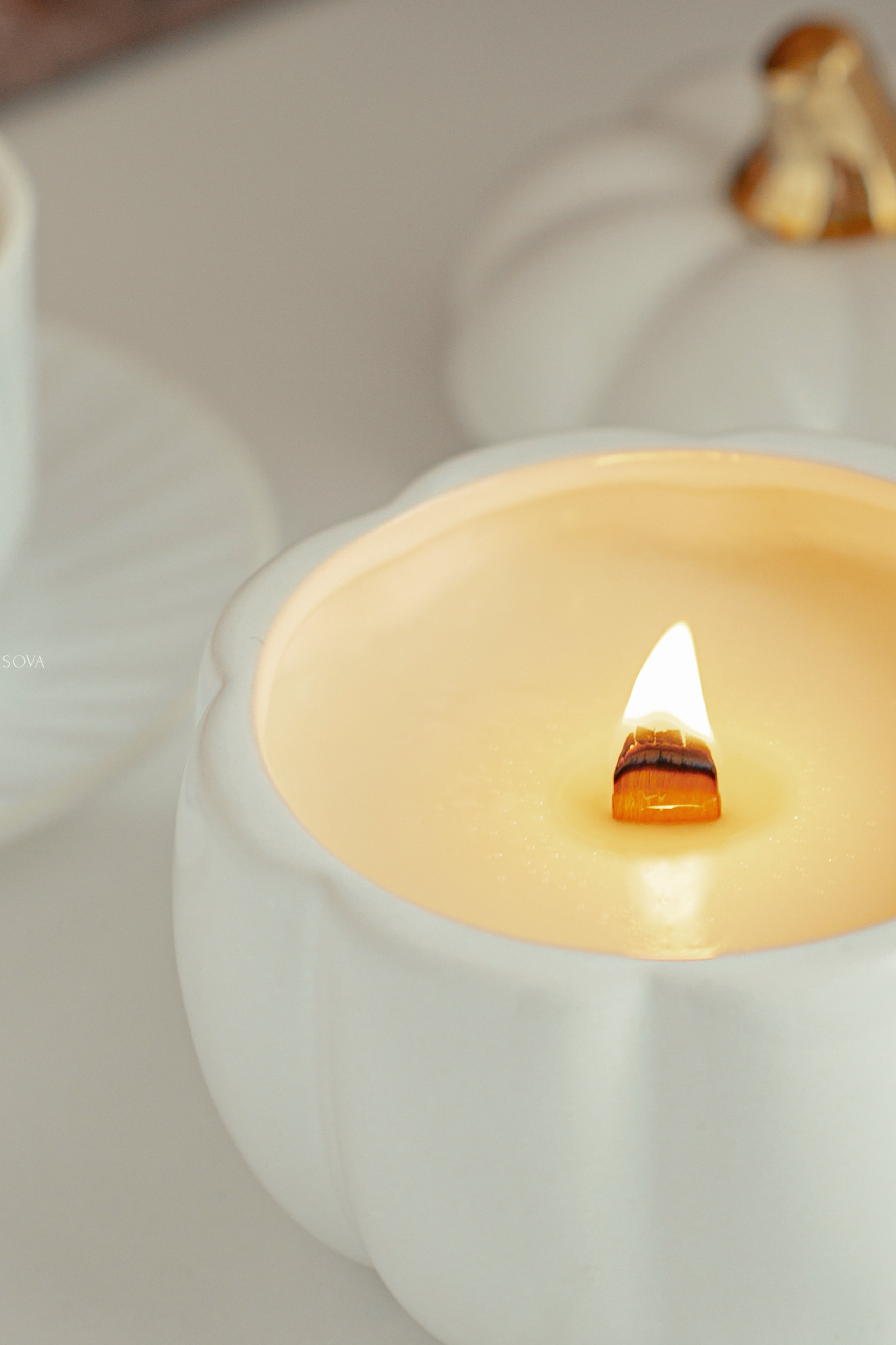 Блог. Фотограф и искусствовед в Туле и Санкт-Петербурге Нелли Некрасова