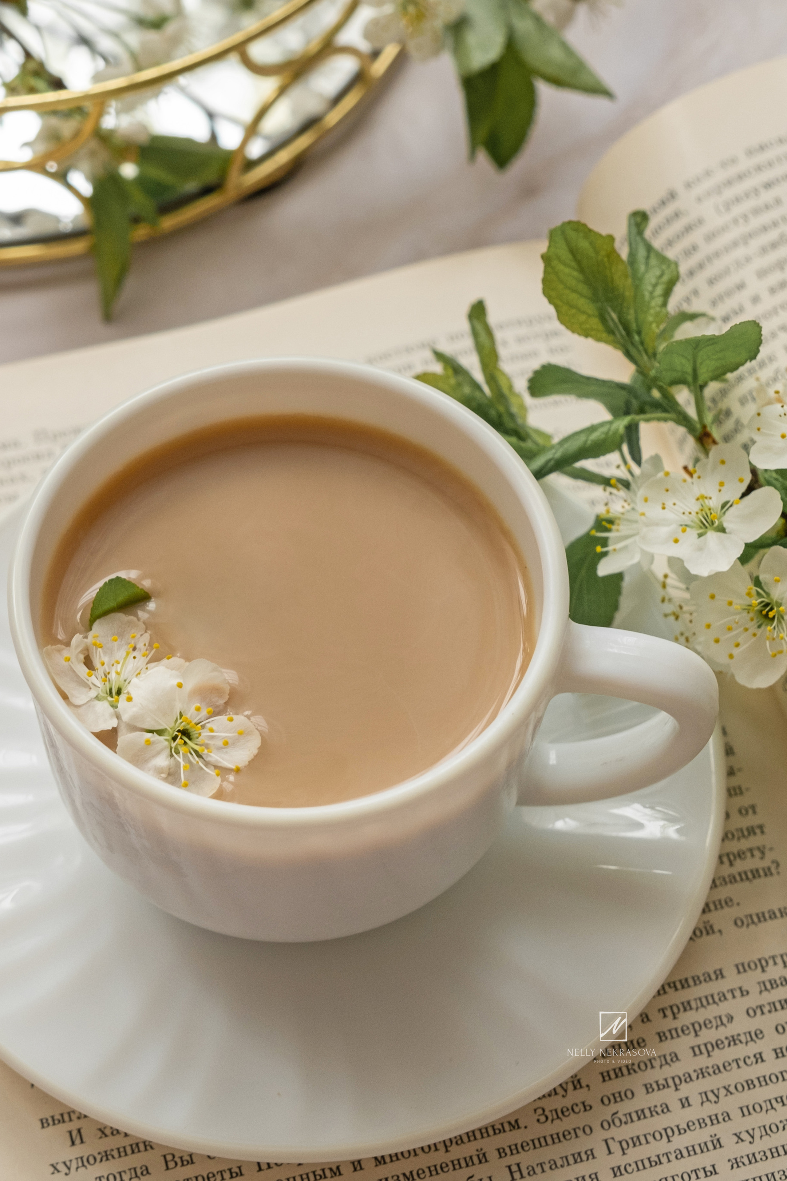 Блог. Фотограф и искусствовед в Туле и Санкт-Петербурге Нелли Некрасова