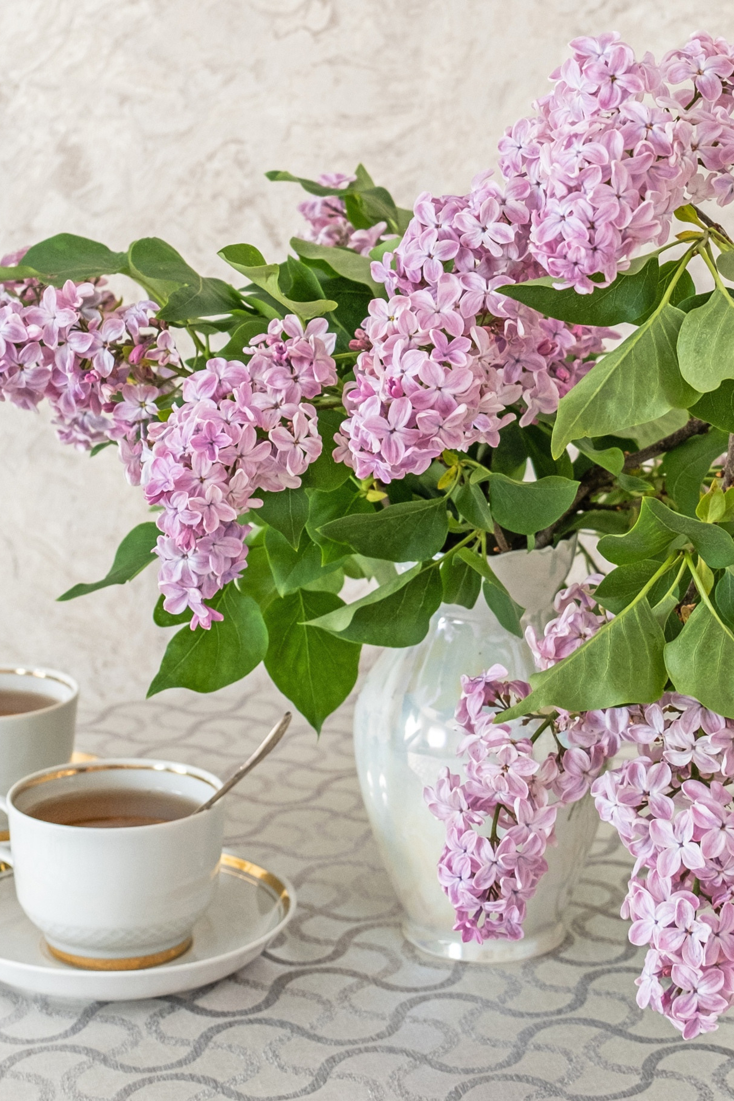 Блог. Фотограф и искусствовед в Туле и Санкт-Петербурге Нелли Некрасова